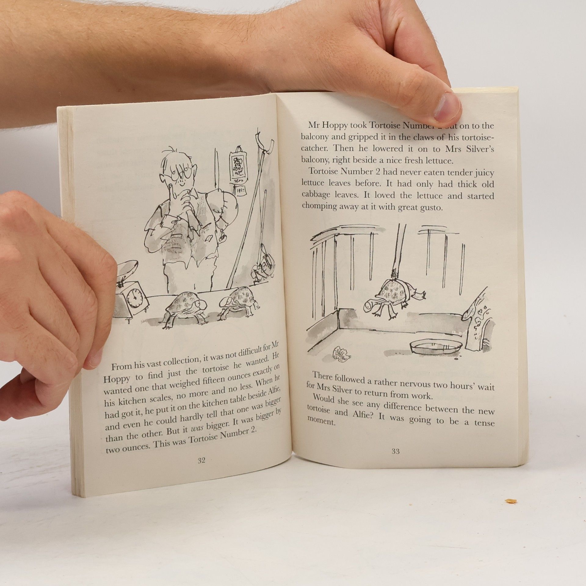 Roald Dahl Esio Trot