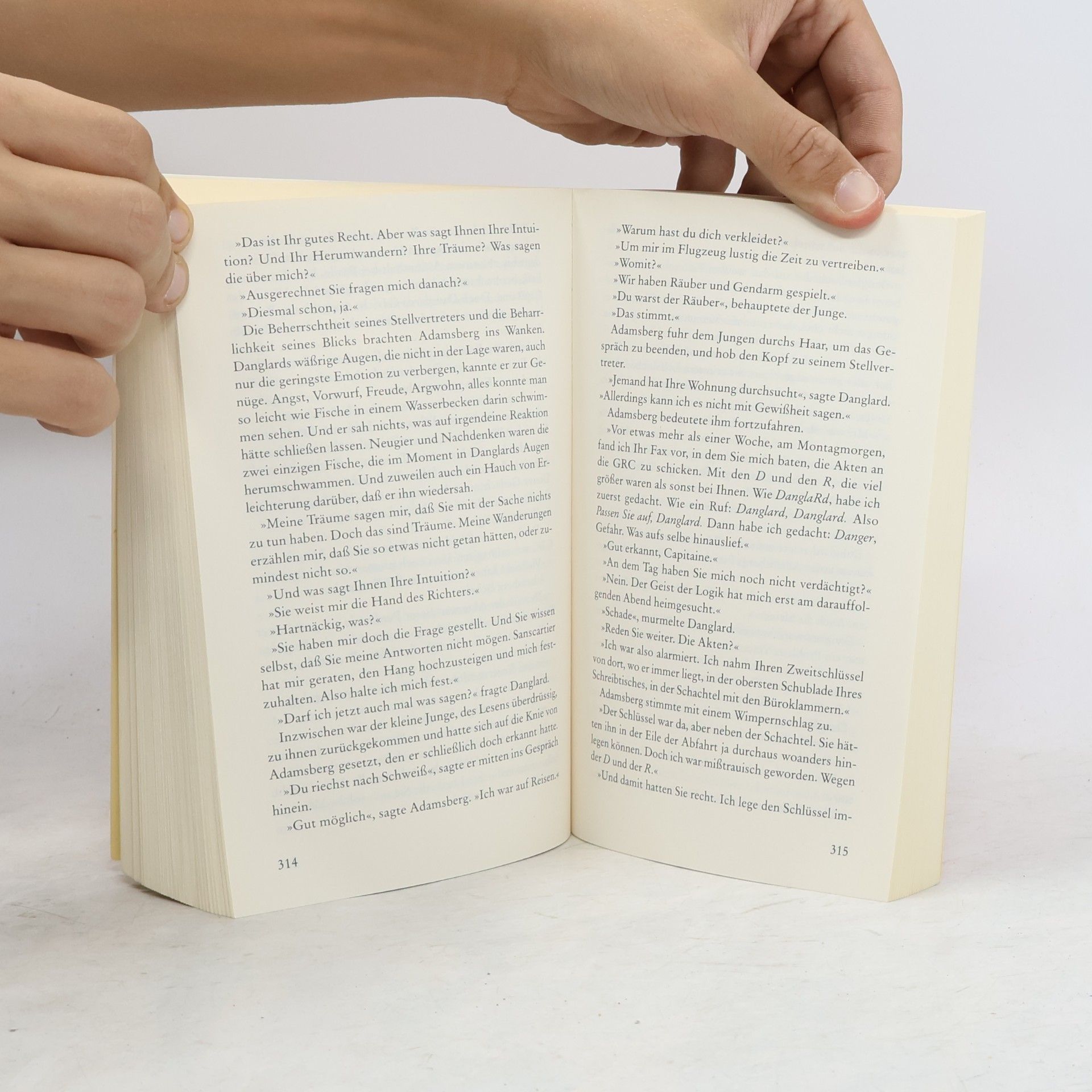 Fred Vargas Der vierzehnte Stein