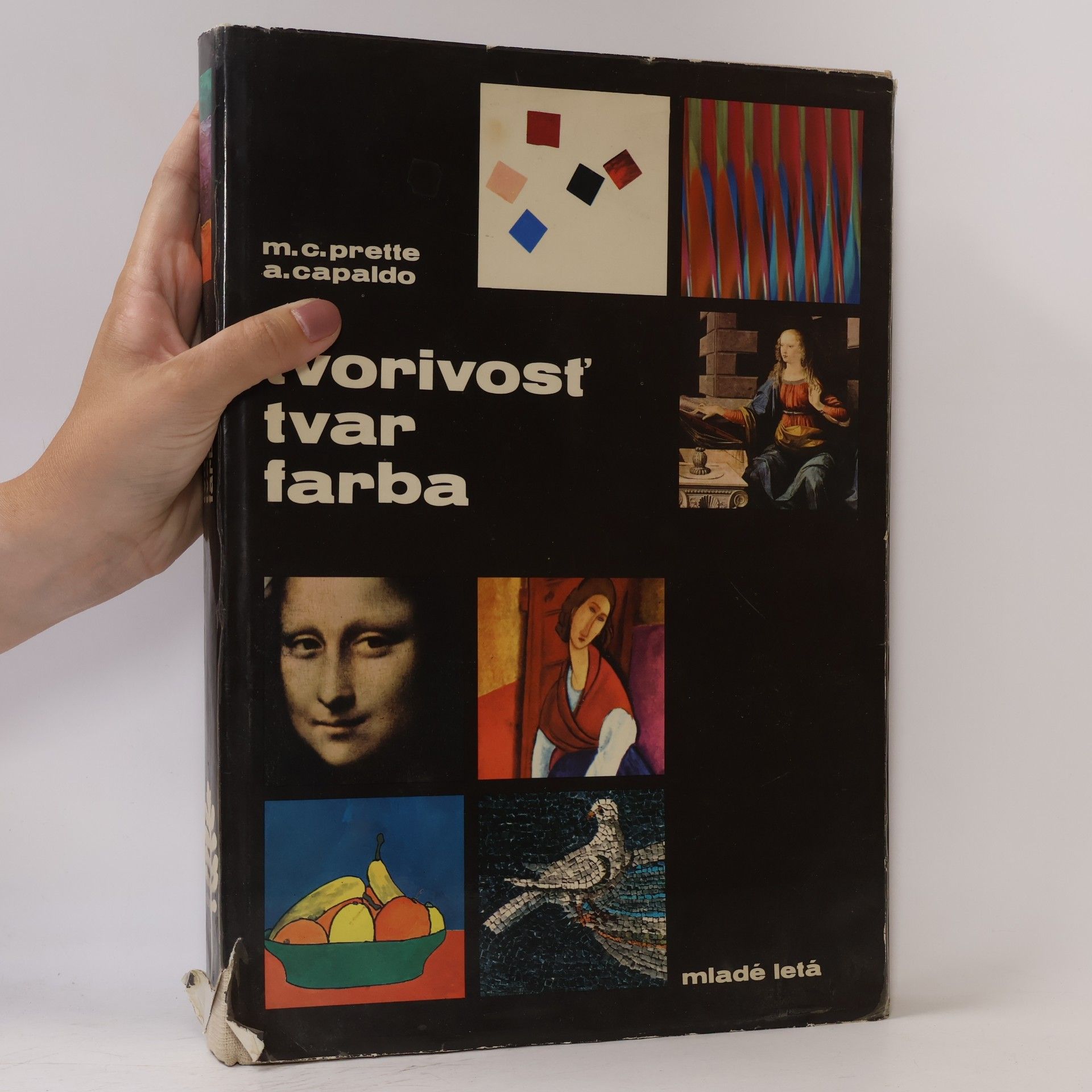 Maria Carla Prette Tvorivosť. Tvar. Farba
