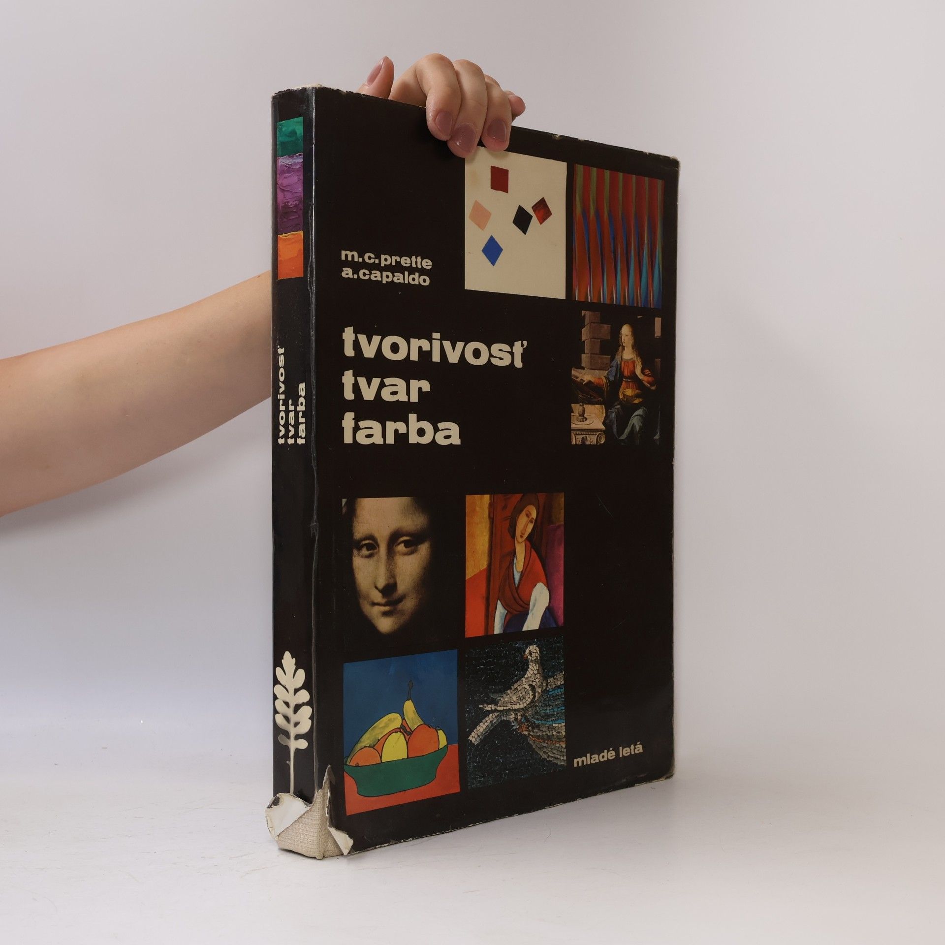 Maria Carla Prette Tvorivosť. Tvar. Farba