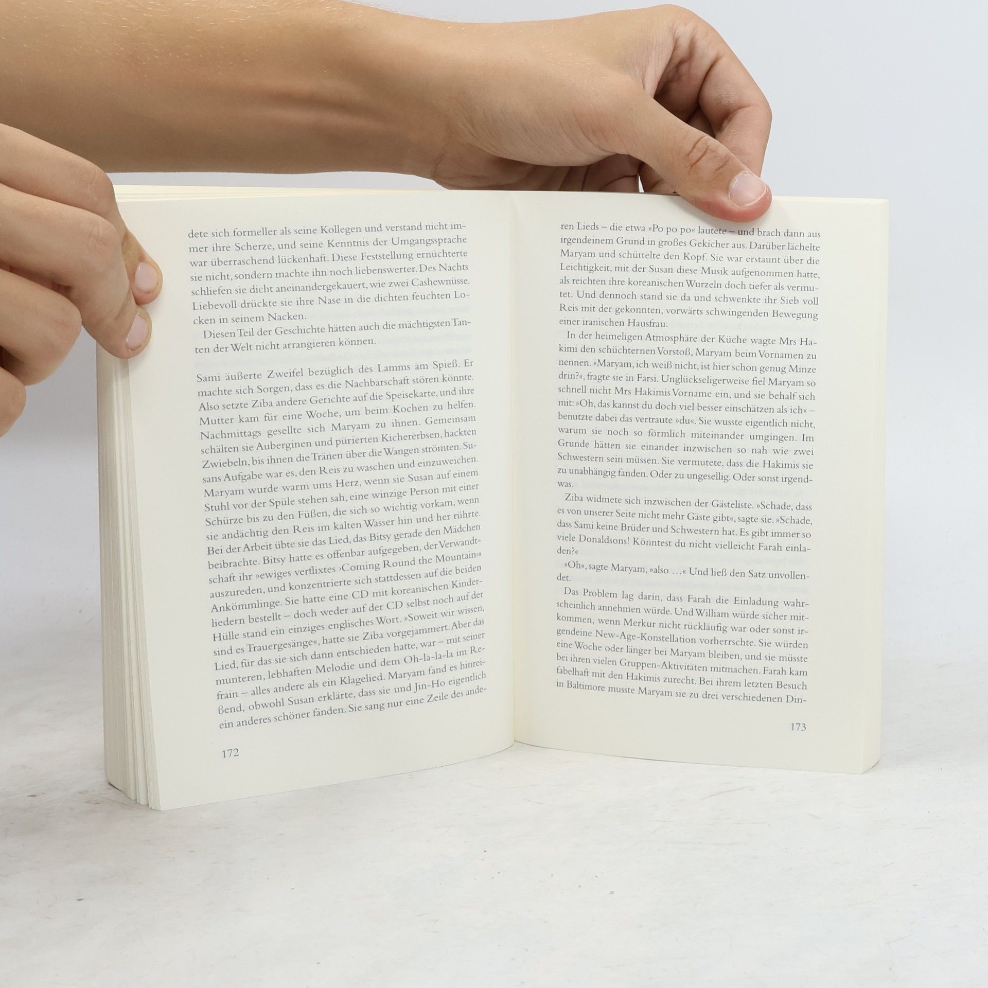 Anne Tyler Tag der Ankunft
