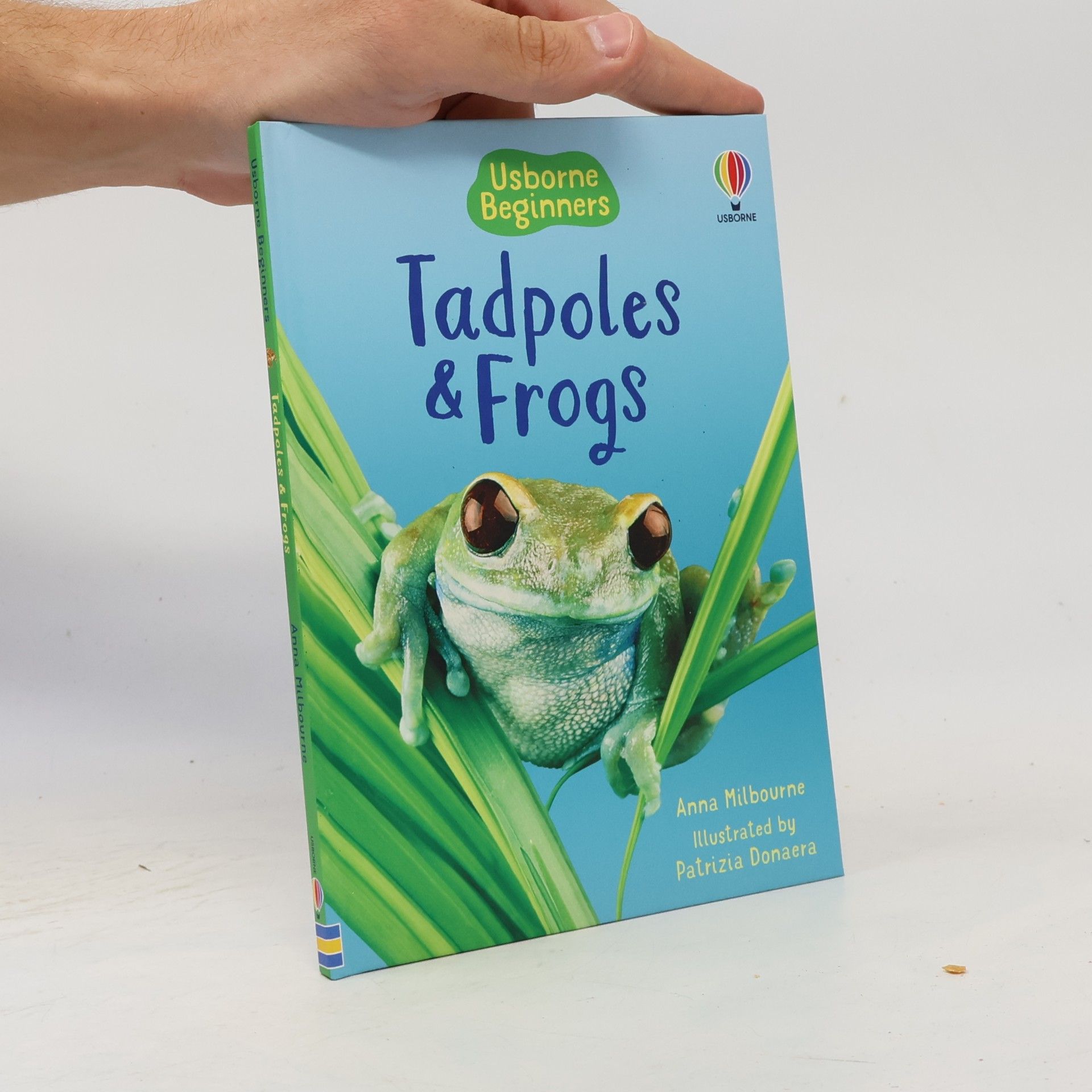 Patrizia Donaera Tadpoles and Frogs
