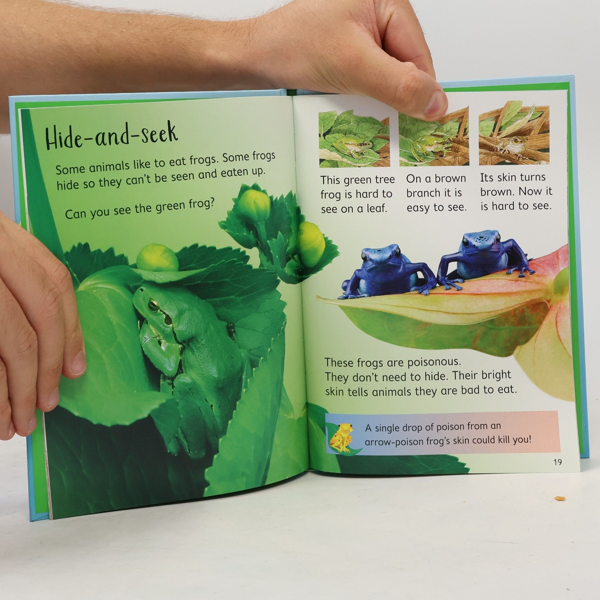 Anna Milbourne Tadpoles and Frogs