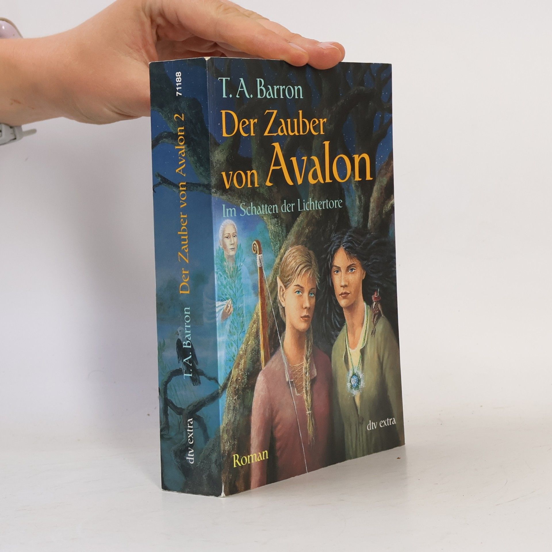 T. A. Barron Der Zauber von Avalon