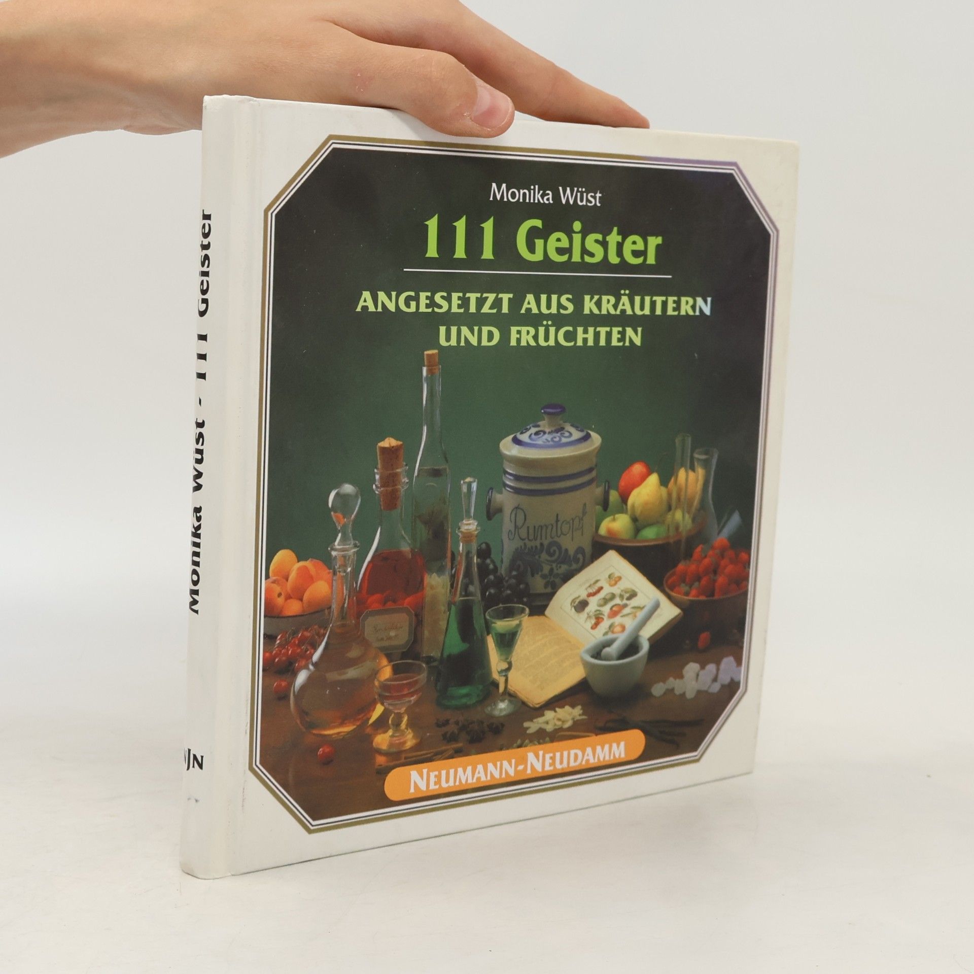 Monika Wüst 111 Geister