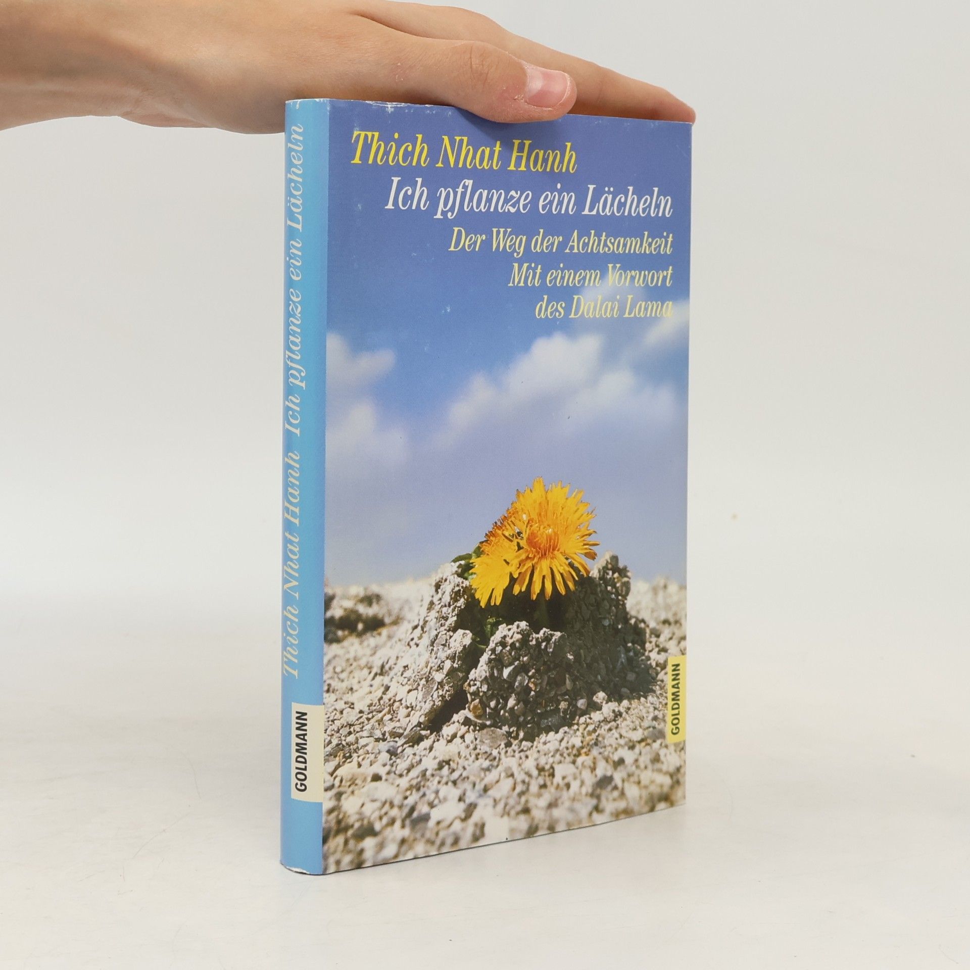 Hạnh Nhat Ich pflanze ein Lächeln
