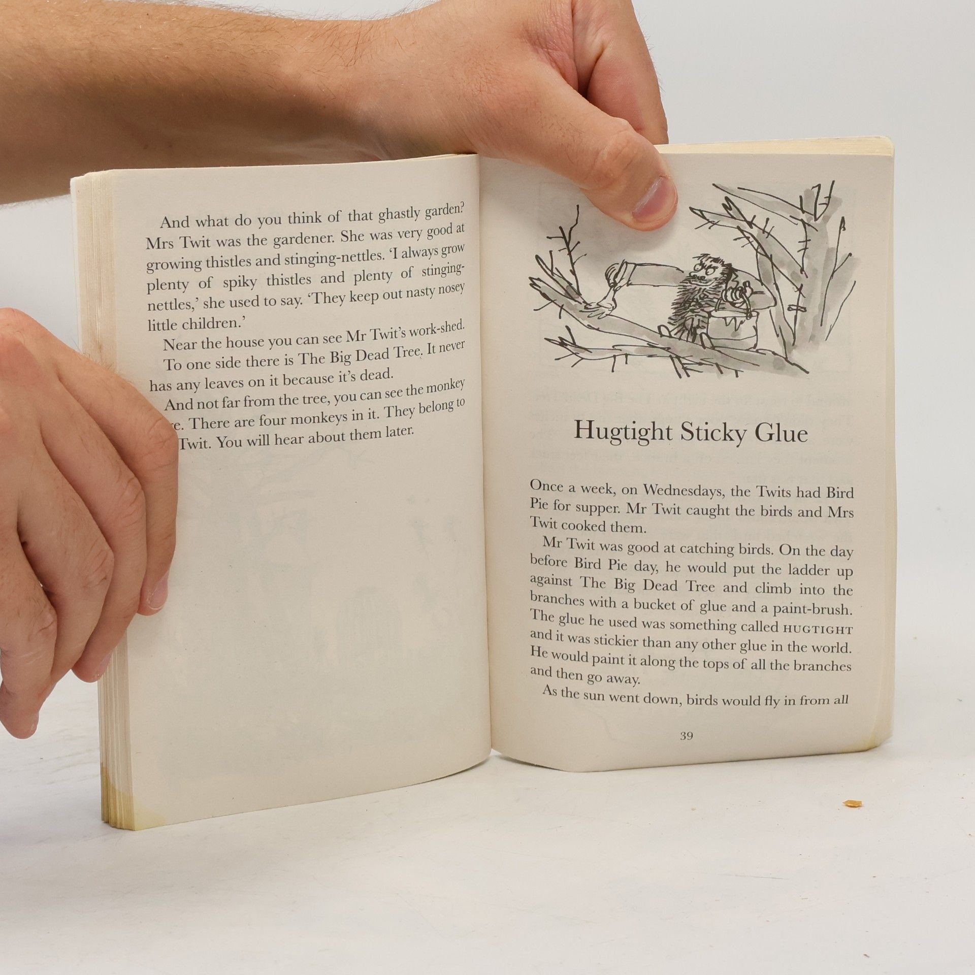 Roald Dahl The Twits