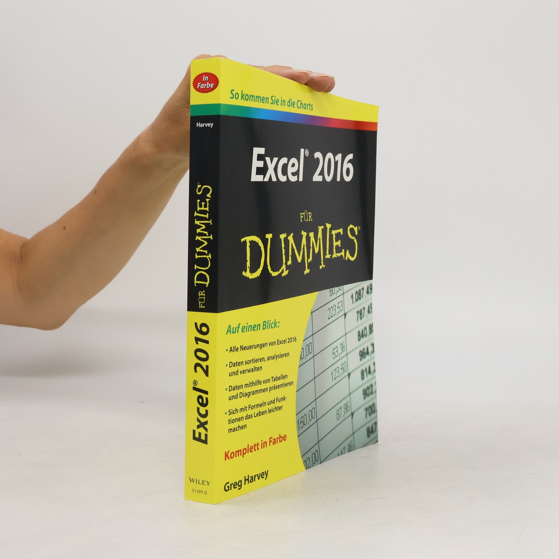 Greg Harvey Excel 2016 für Dummies