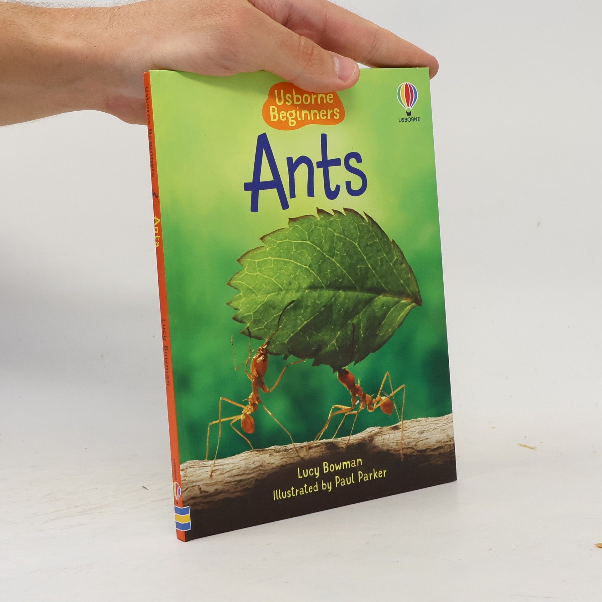 Ants