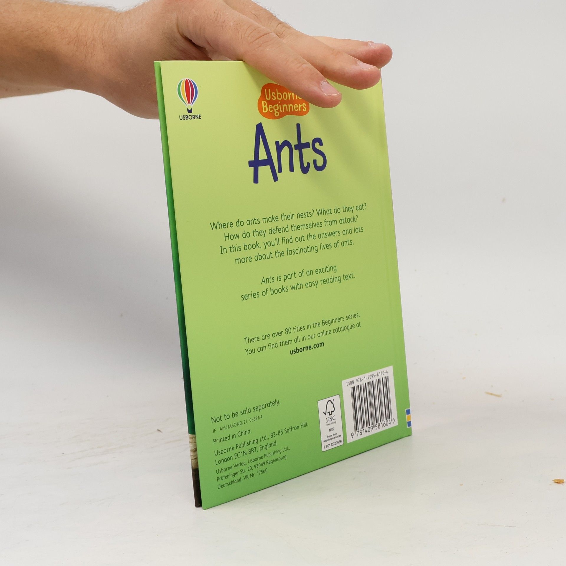 Lucy Bowman Ants
