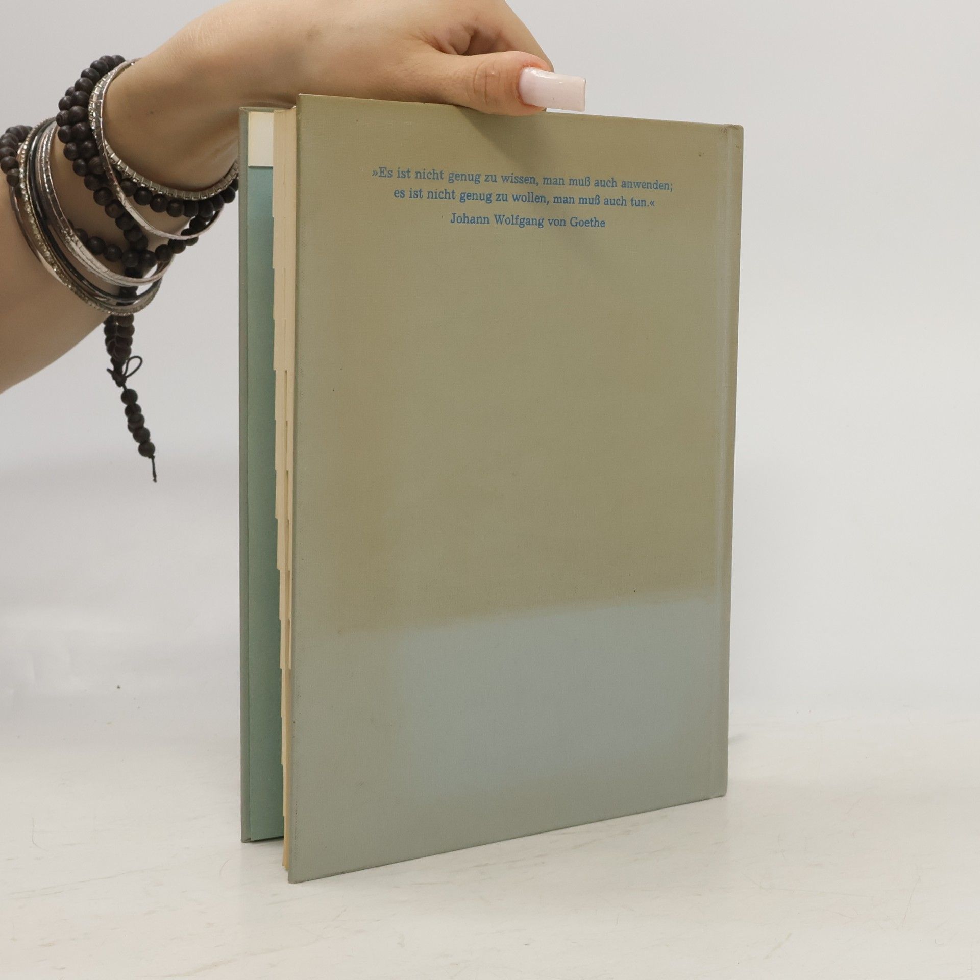 Autorenkollektiv Chemie im Lebensmitteln