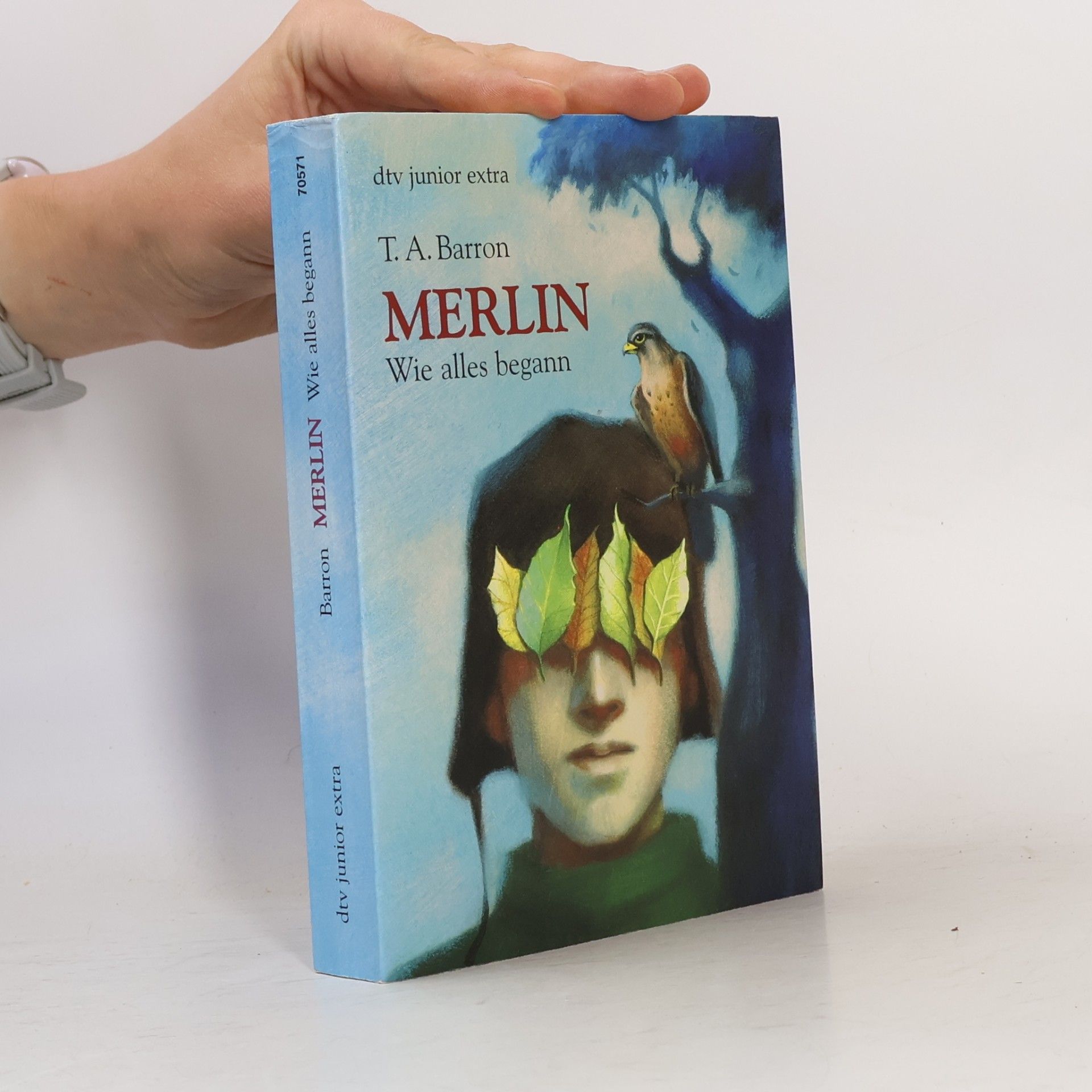 T. A. Barron Merlin. Wie alles begann