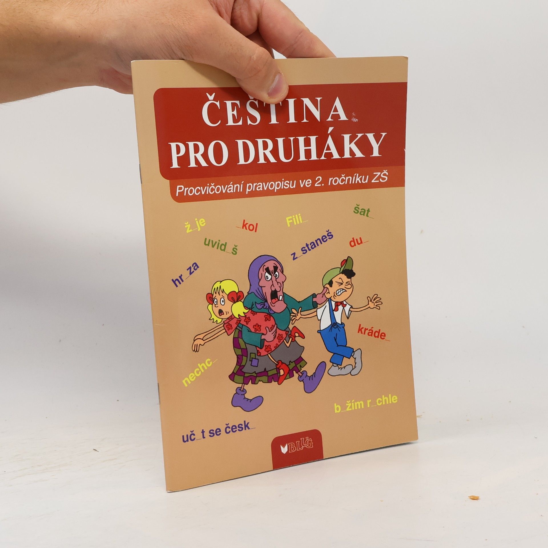 Kolektiv autorů Čeština pro druháky