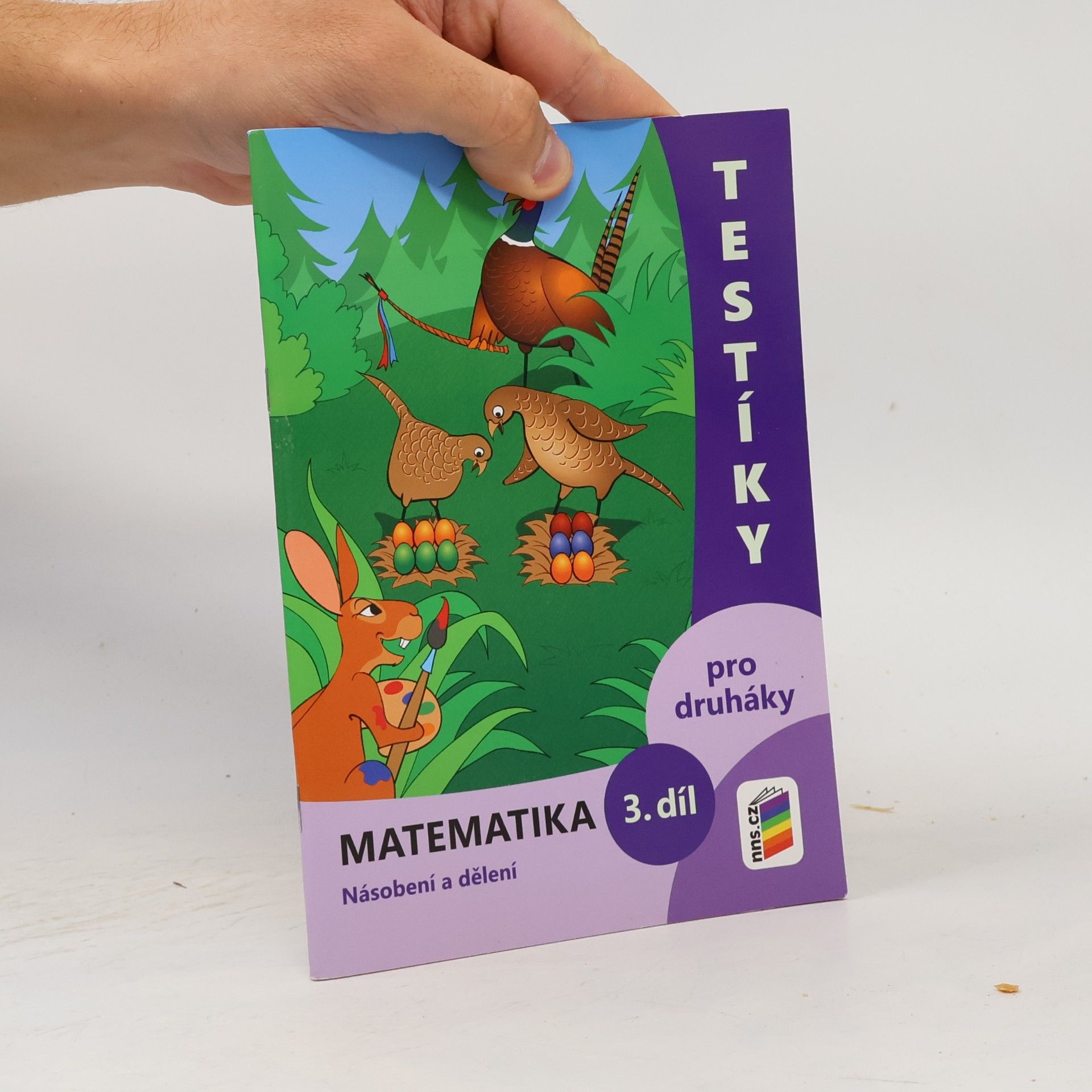 NNS Testíky pro druháky – matematika, 3. díl (barevný pracovní sešit)