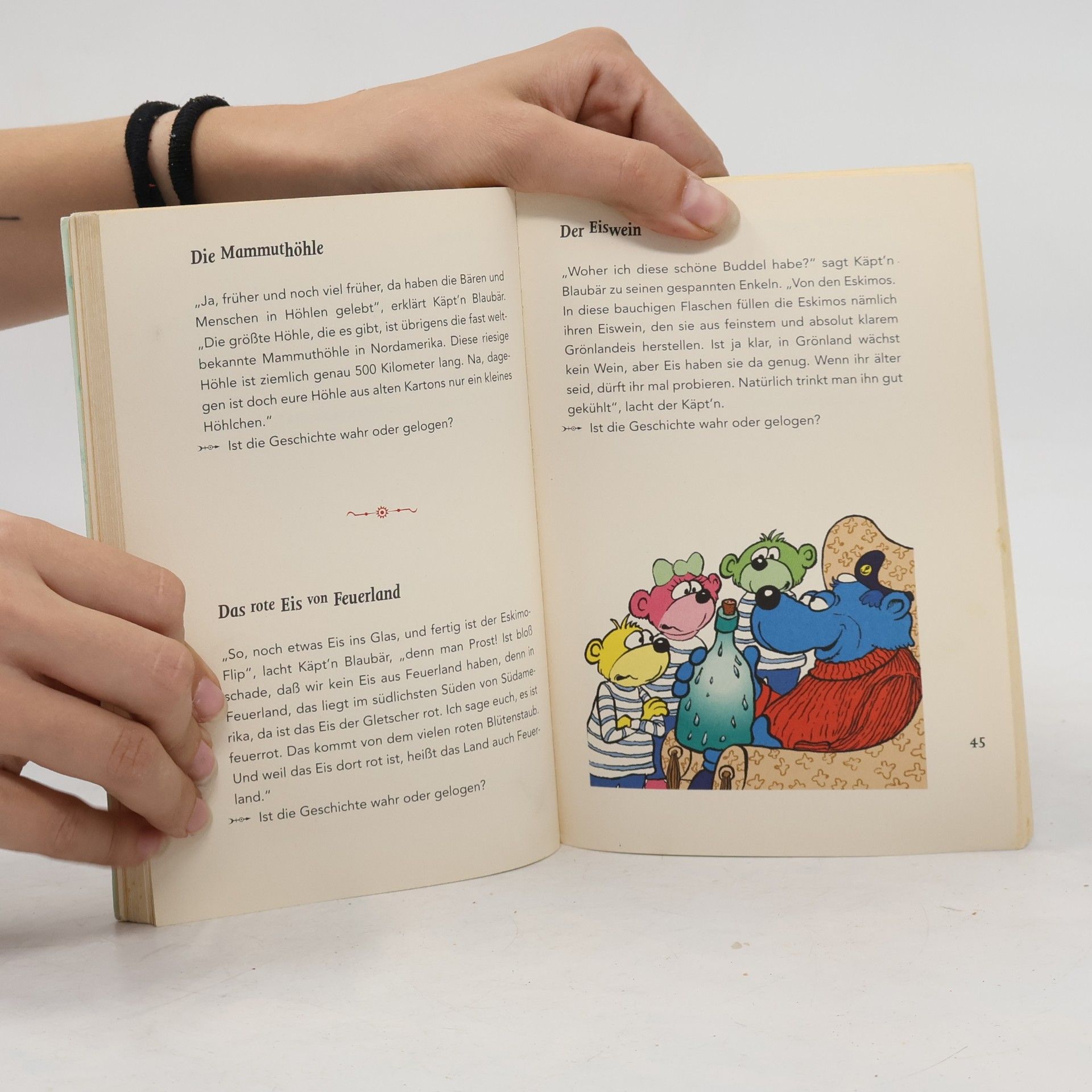 Bernd Flessner Käpt'n Blaubärs Flunkerbuch