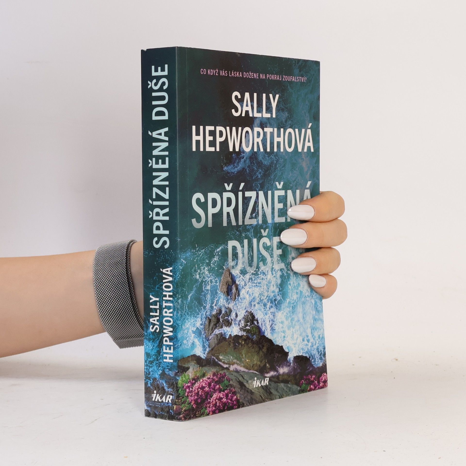 Sally Hepworth Spřízněná duše