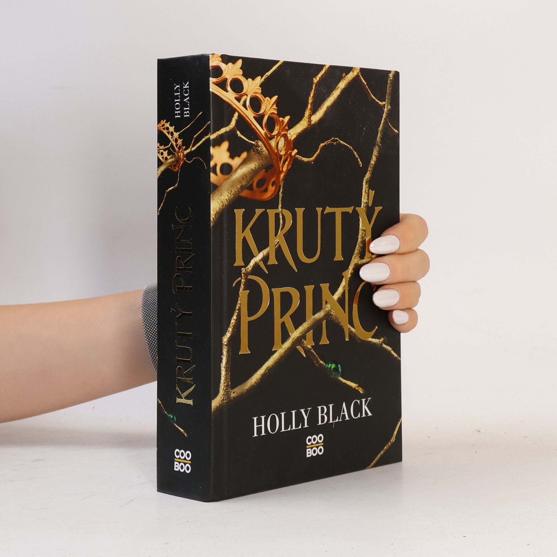 Holly Black Krutý princ