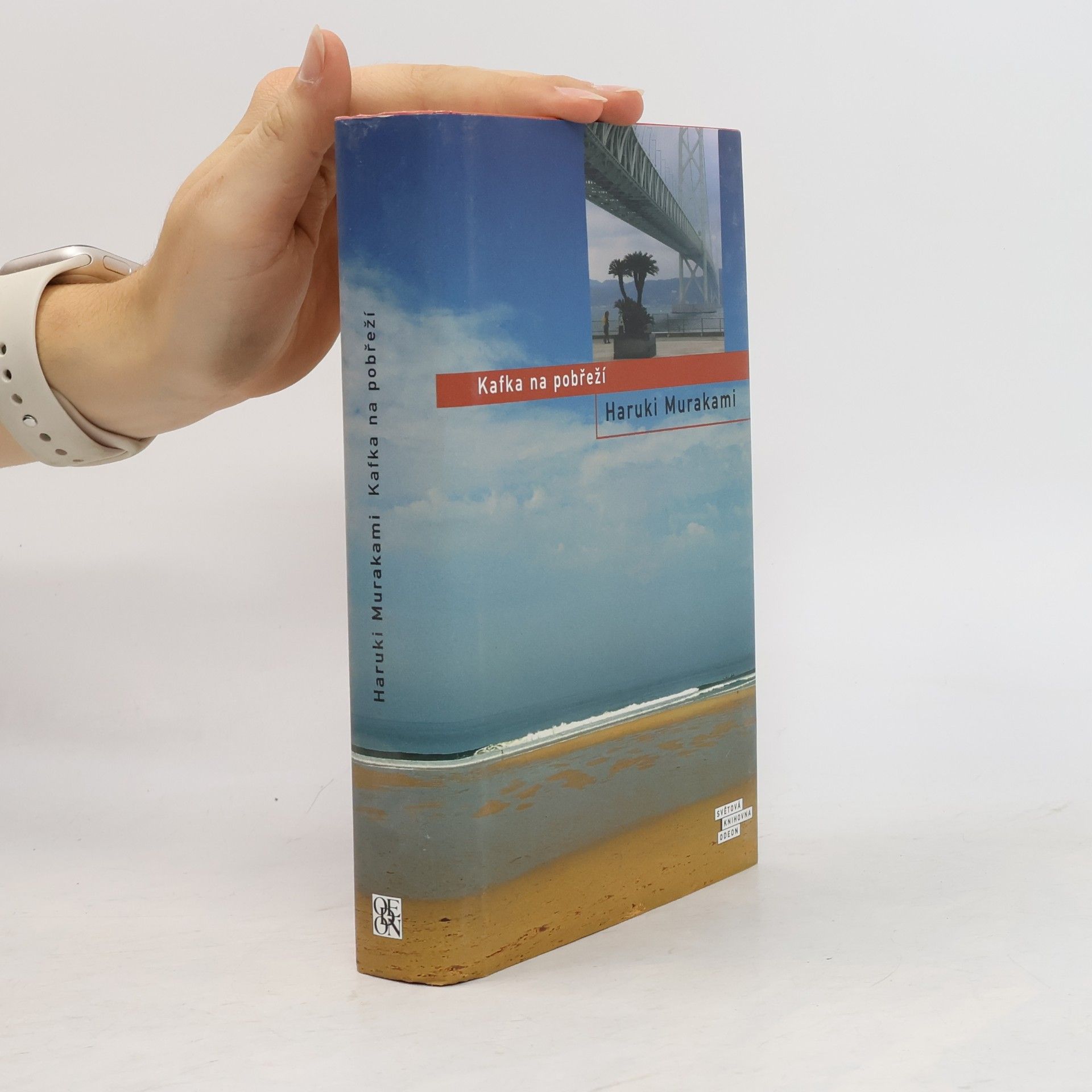 Haruki Murakami Kafka na pobřeží