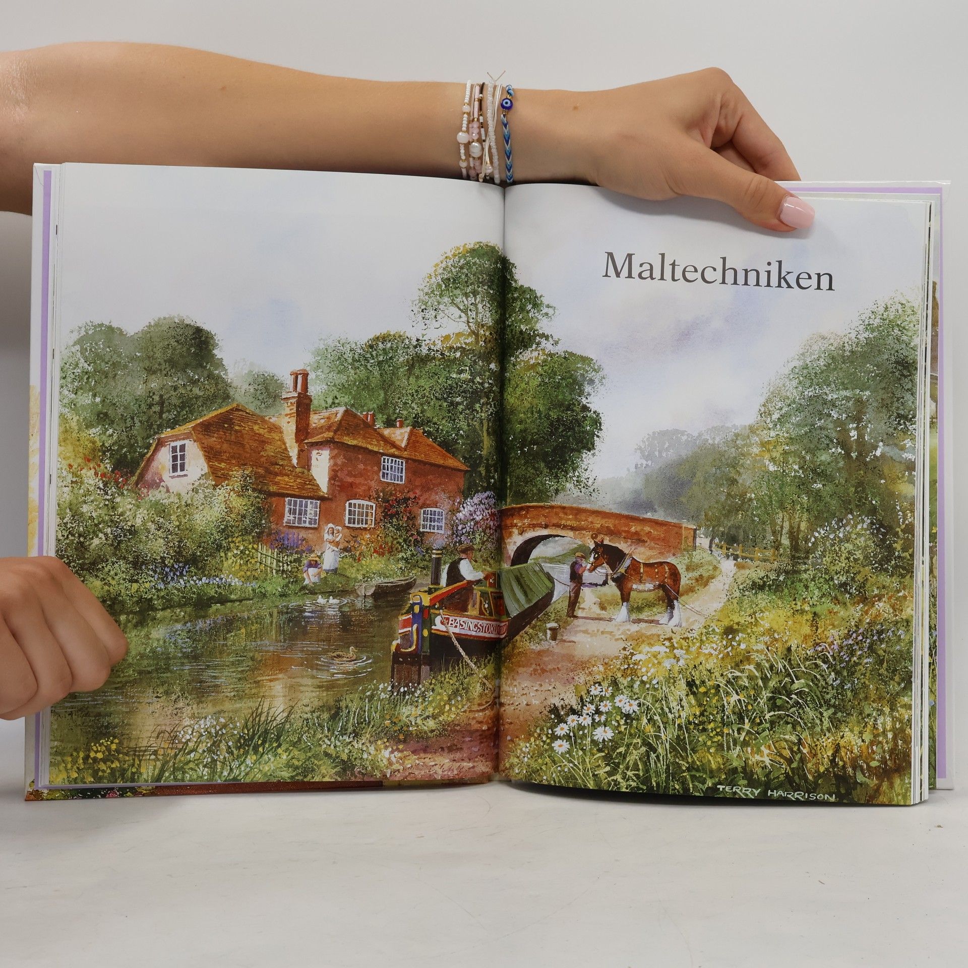 Terry Harrison Grundkurs Malen mit Aquarellfarben
