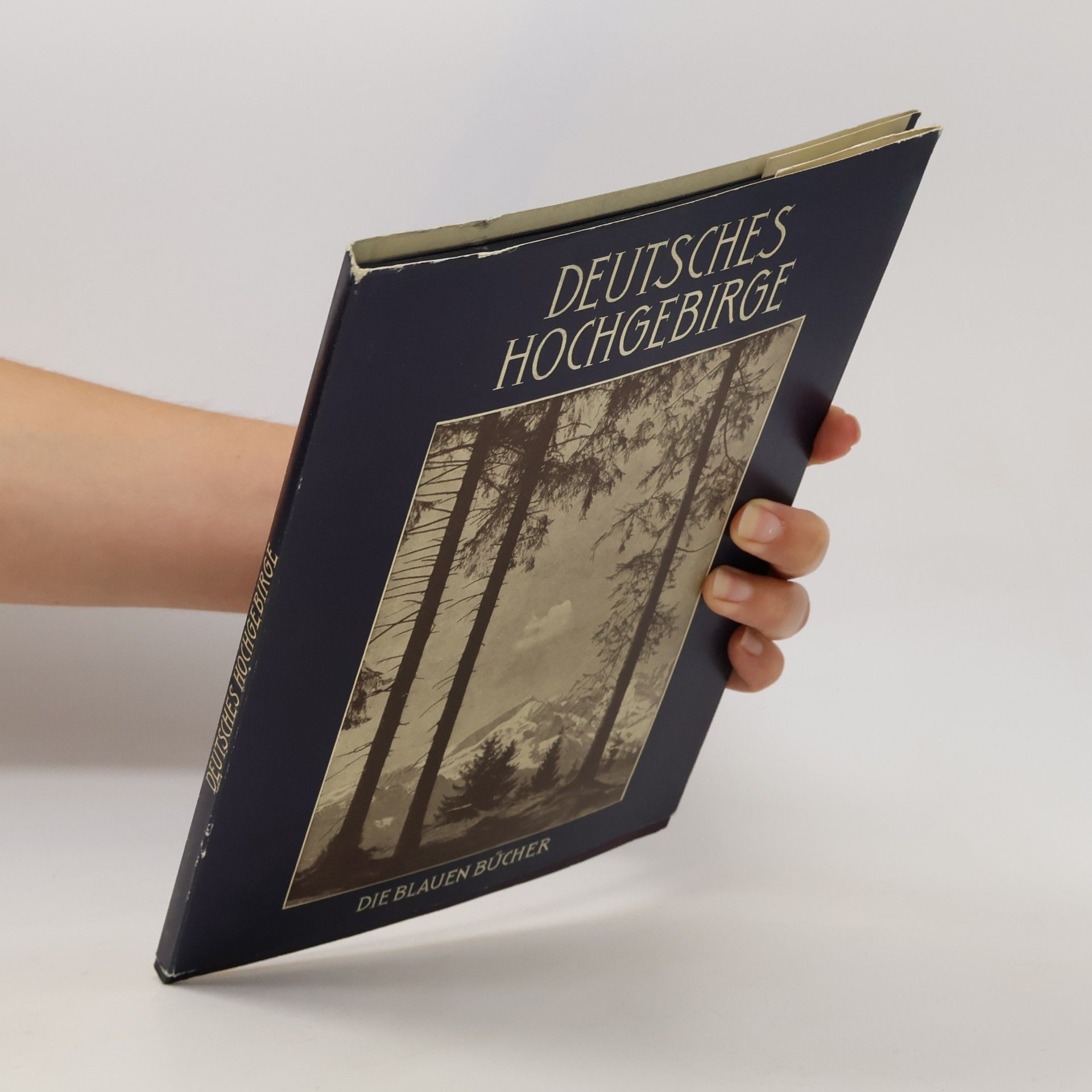 Hans Brandenburg Deutsches Hochgebirge