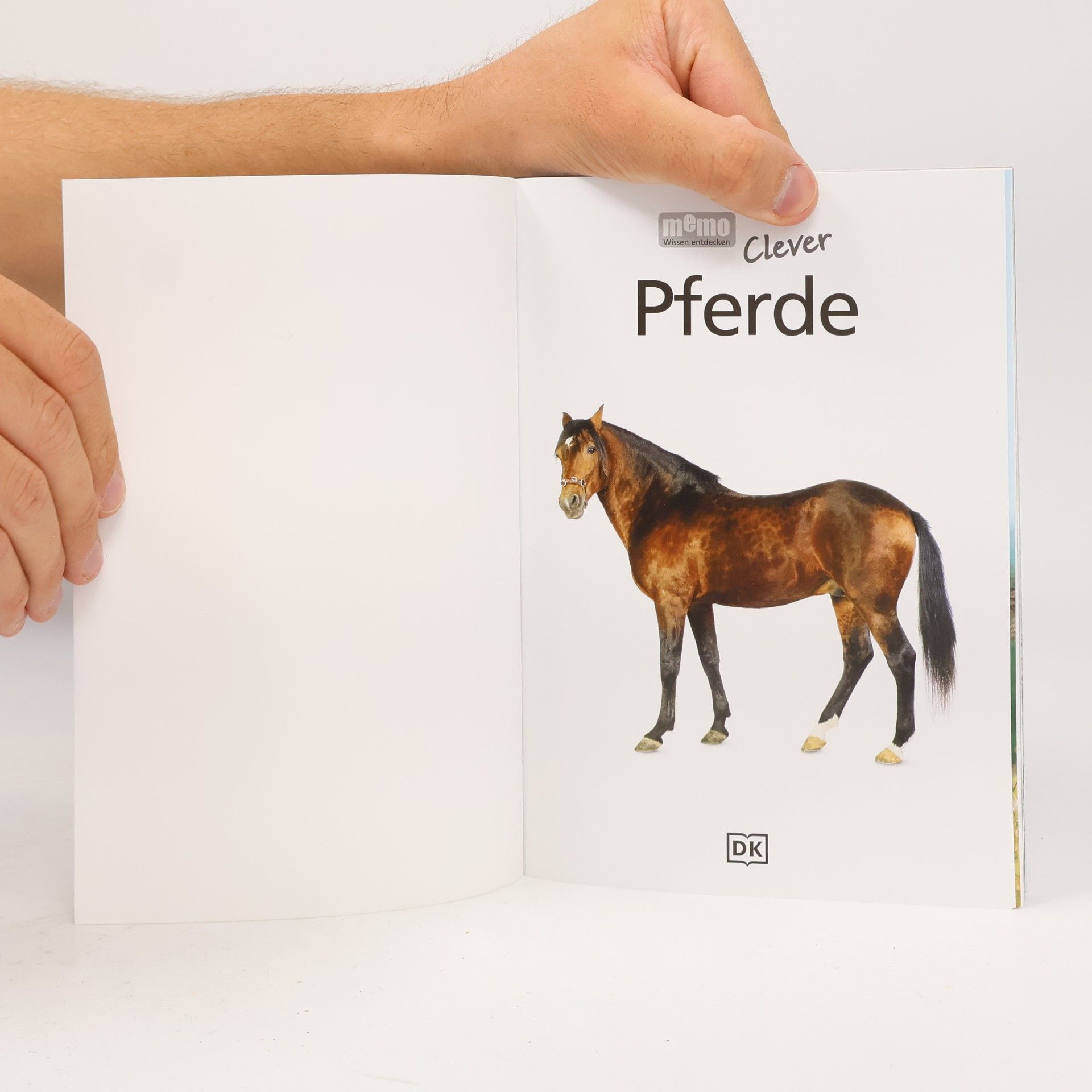 Autorenkollektiv Pferde