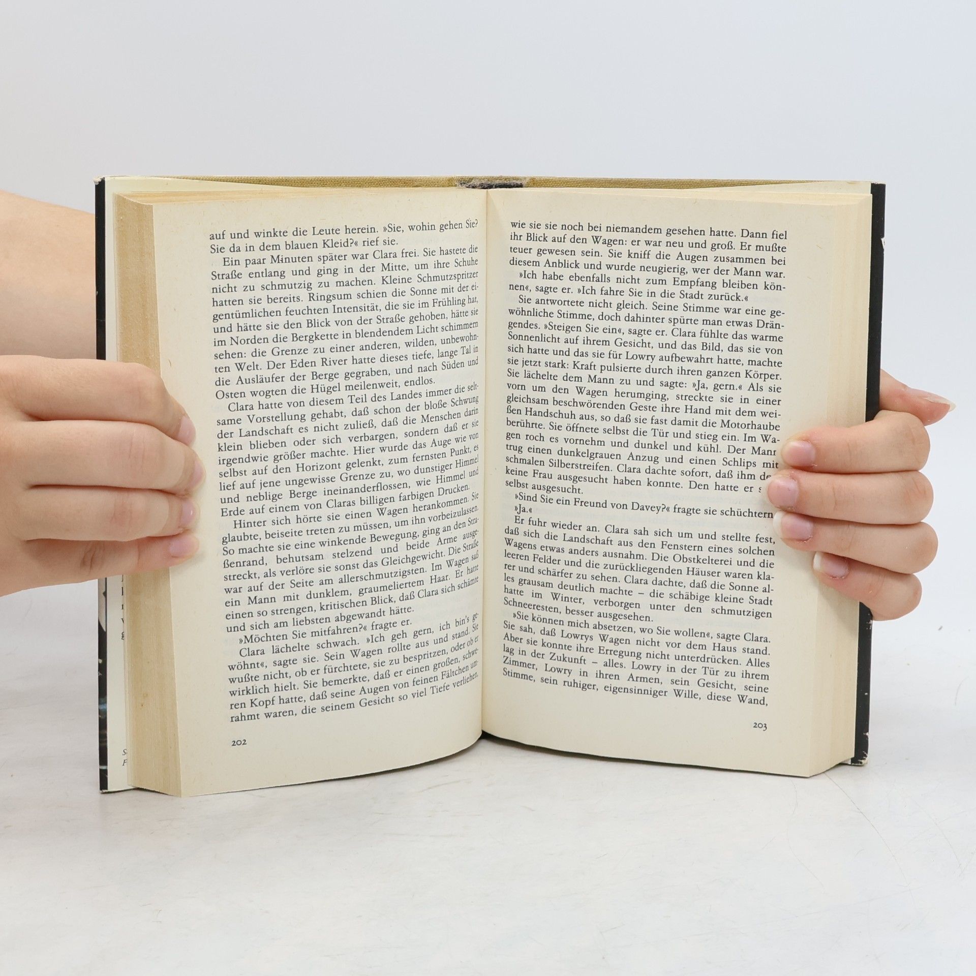 Joyce Carol Oates Ein Garten irdischer Freuden