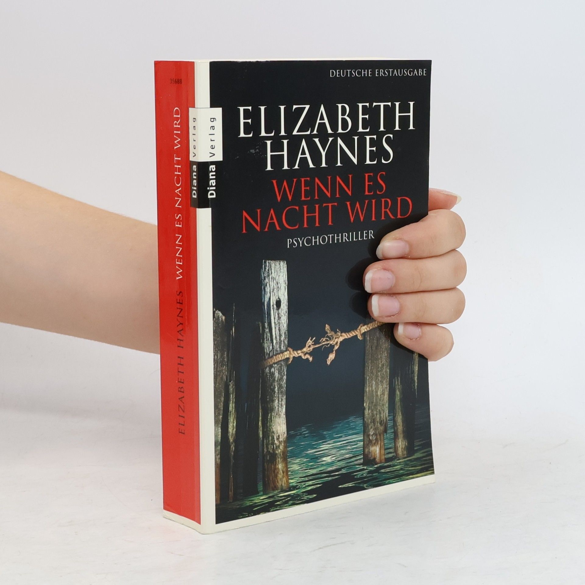 Elizabeth Haynes Wenn es Nacht wird