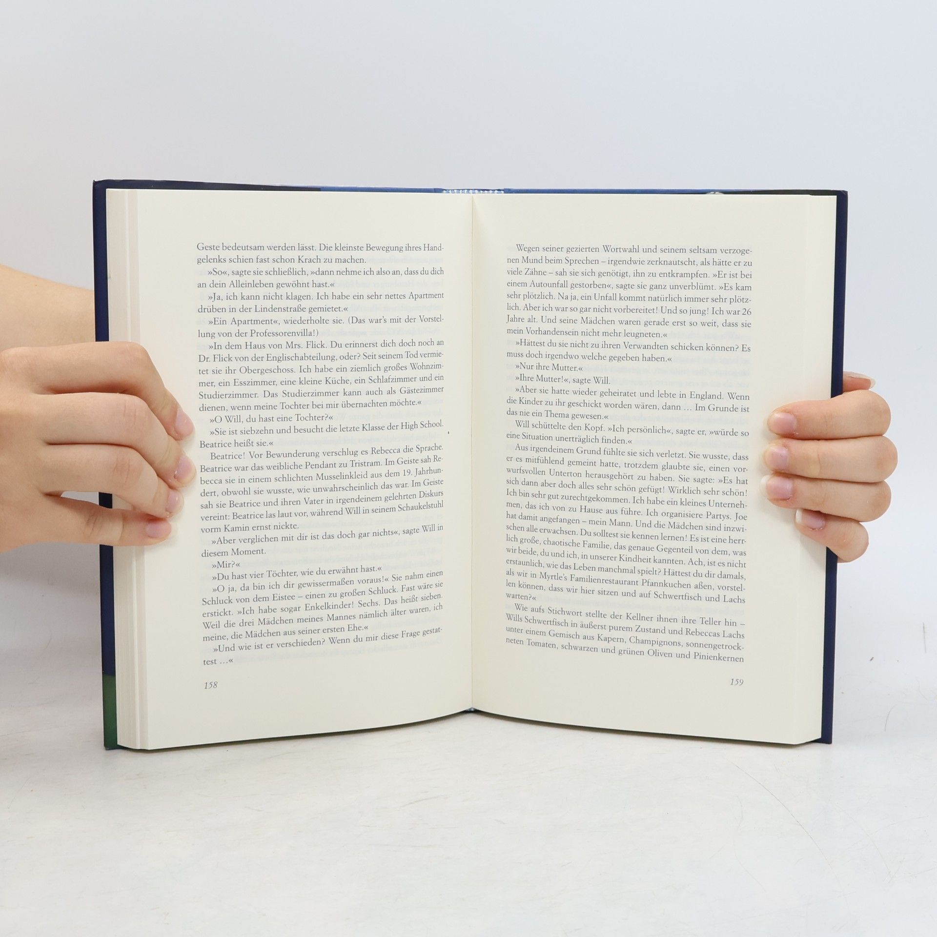 Anne Tyler Damals als wir erwachsen waren