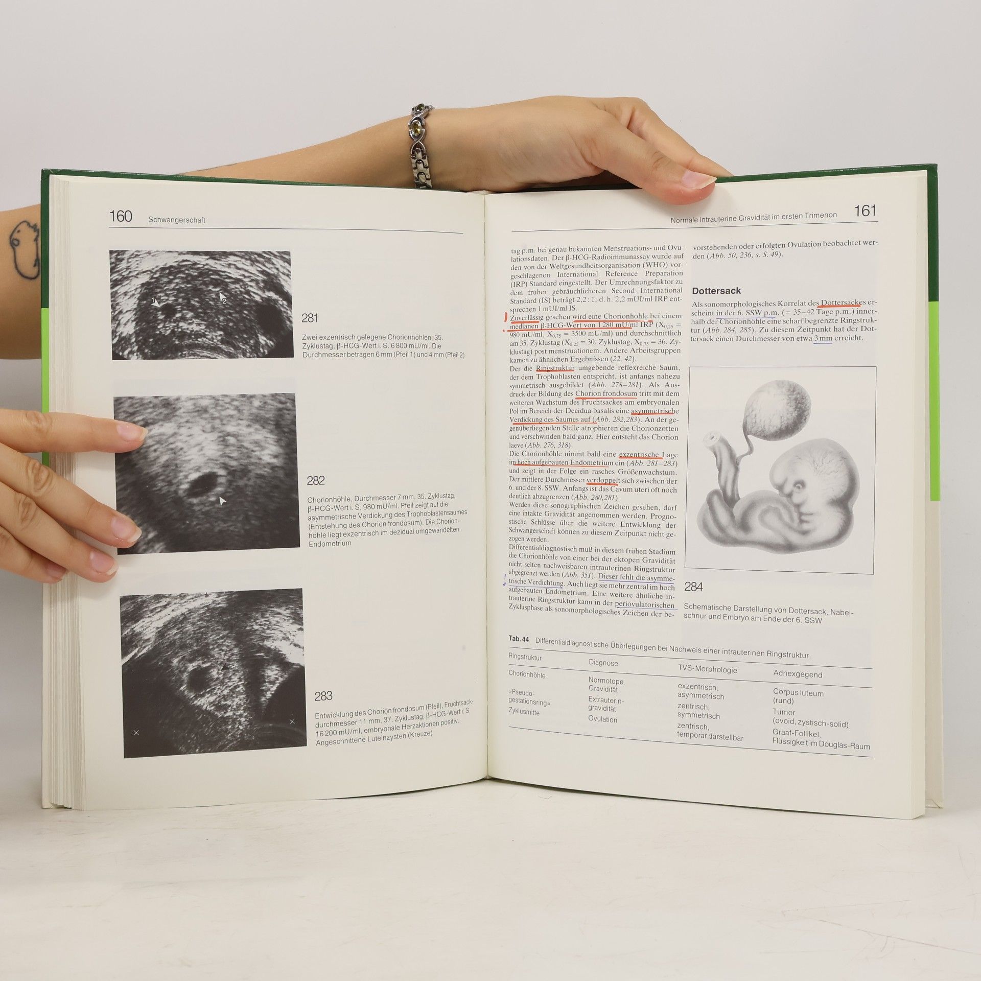 Thomas Sautter Transvaginalsonographie