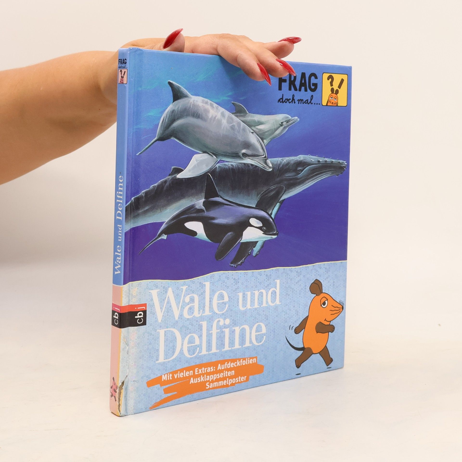 Sylvia Englert Wale und Delfine
