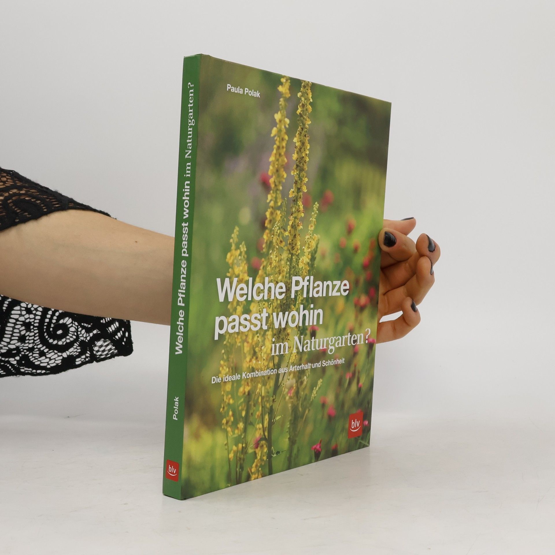 Welche Pflanze passt wohin im Naturgarten?