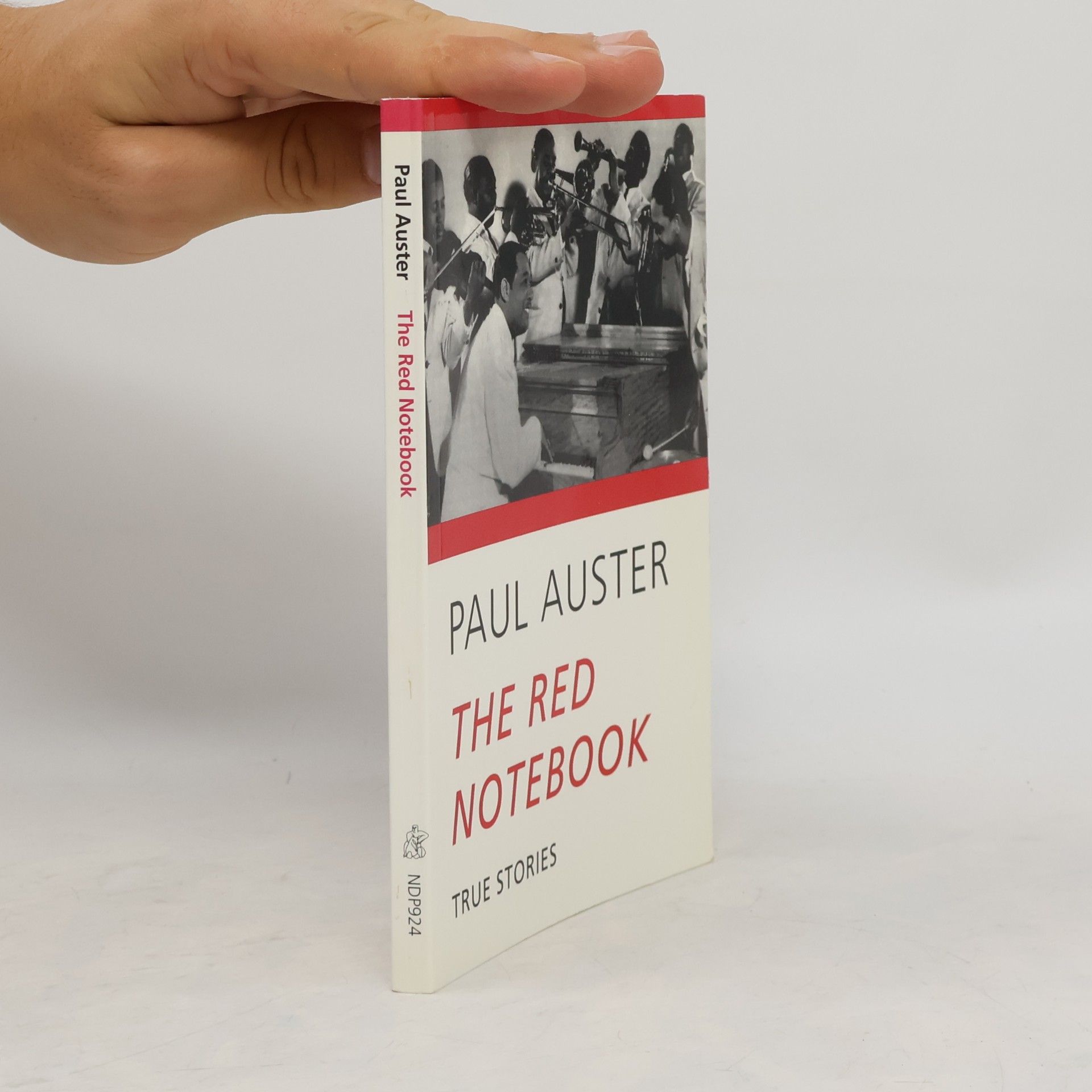 Paul Auster The Red Notebook