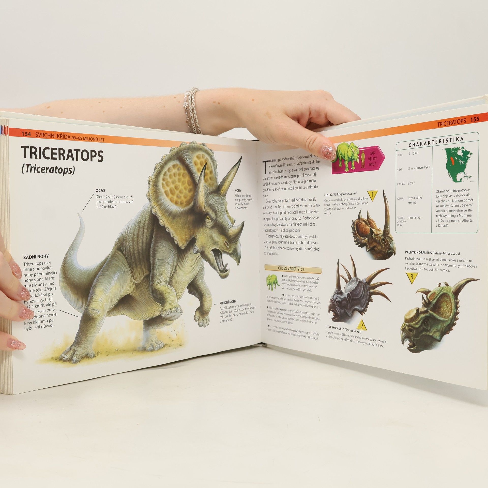 Veronica Ross Dinosauři - Fascinující svět pravěkých obrů