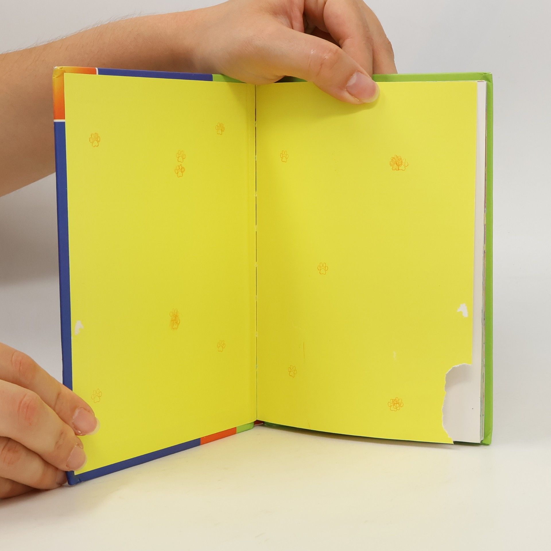 Carlos Busquets Meine kleine Märchenbibliothek Band 4