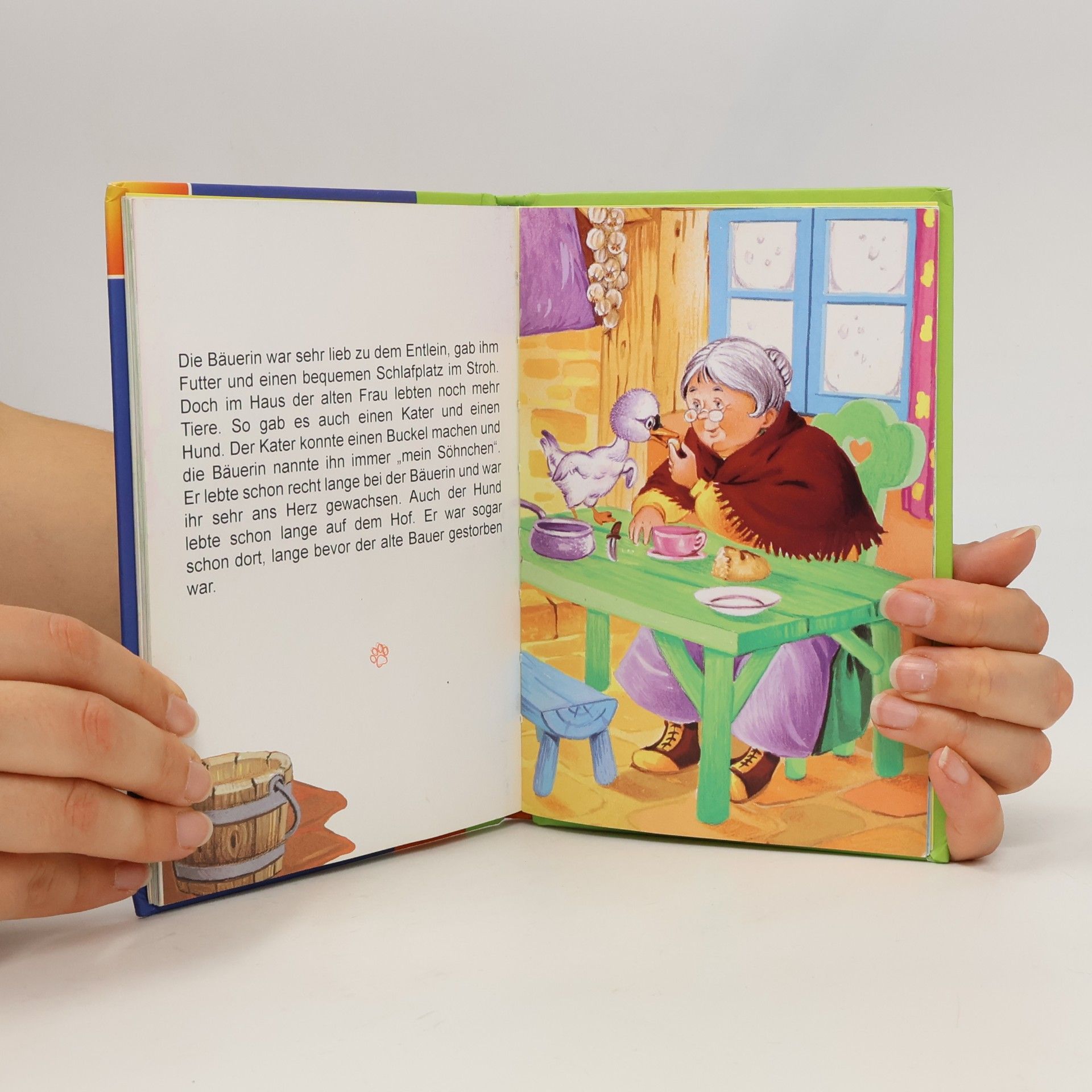 Carlos Busquets Meine kleine Märchenbibliothek Band 4