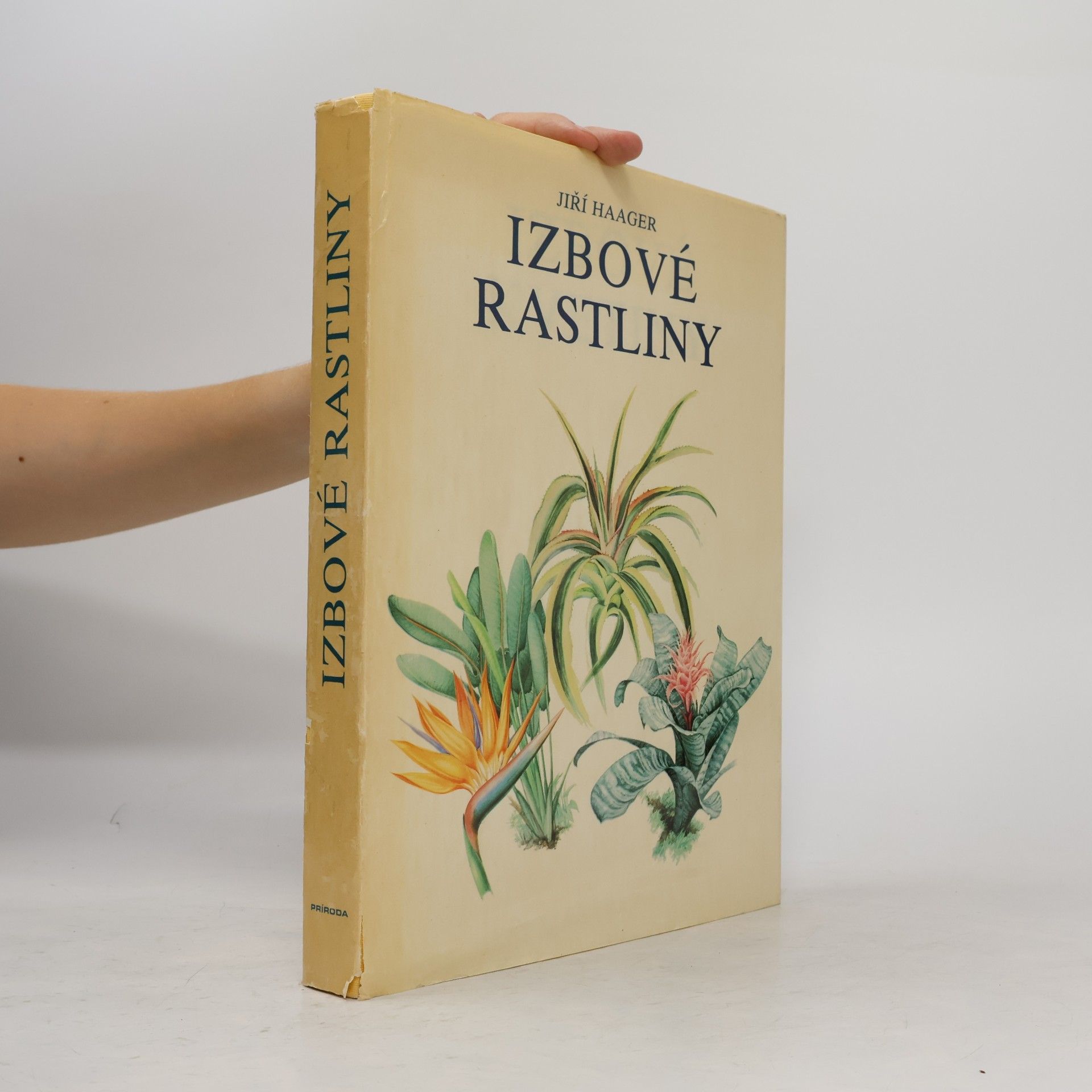 Jiří R. Haager Izbové rastliny