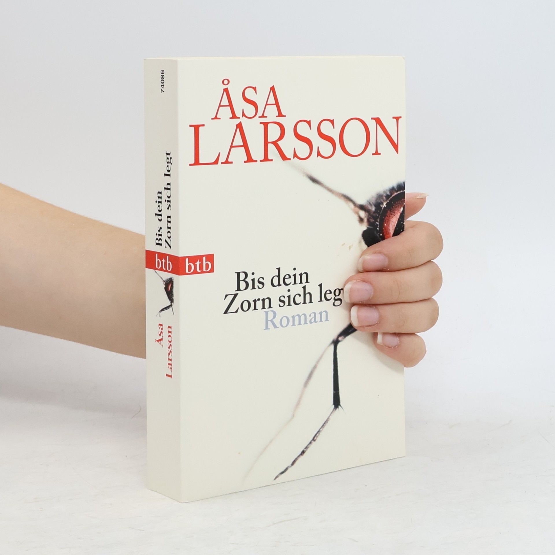 Åsa Larsson Bis dein Zorn sich legt