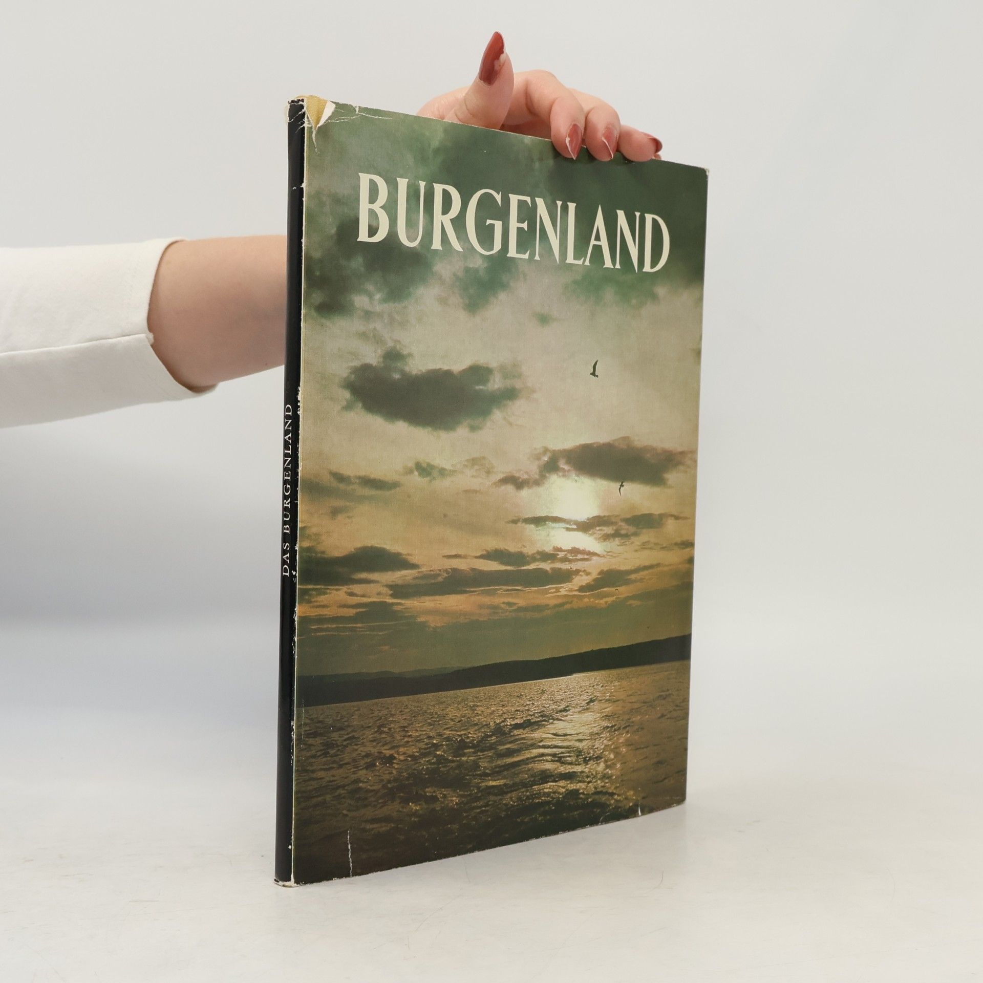 Kolektiv autorů Burgenland