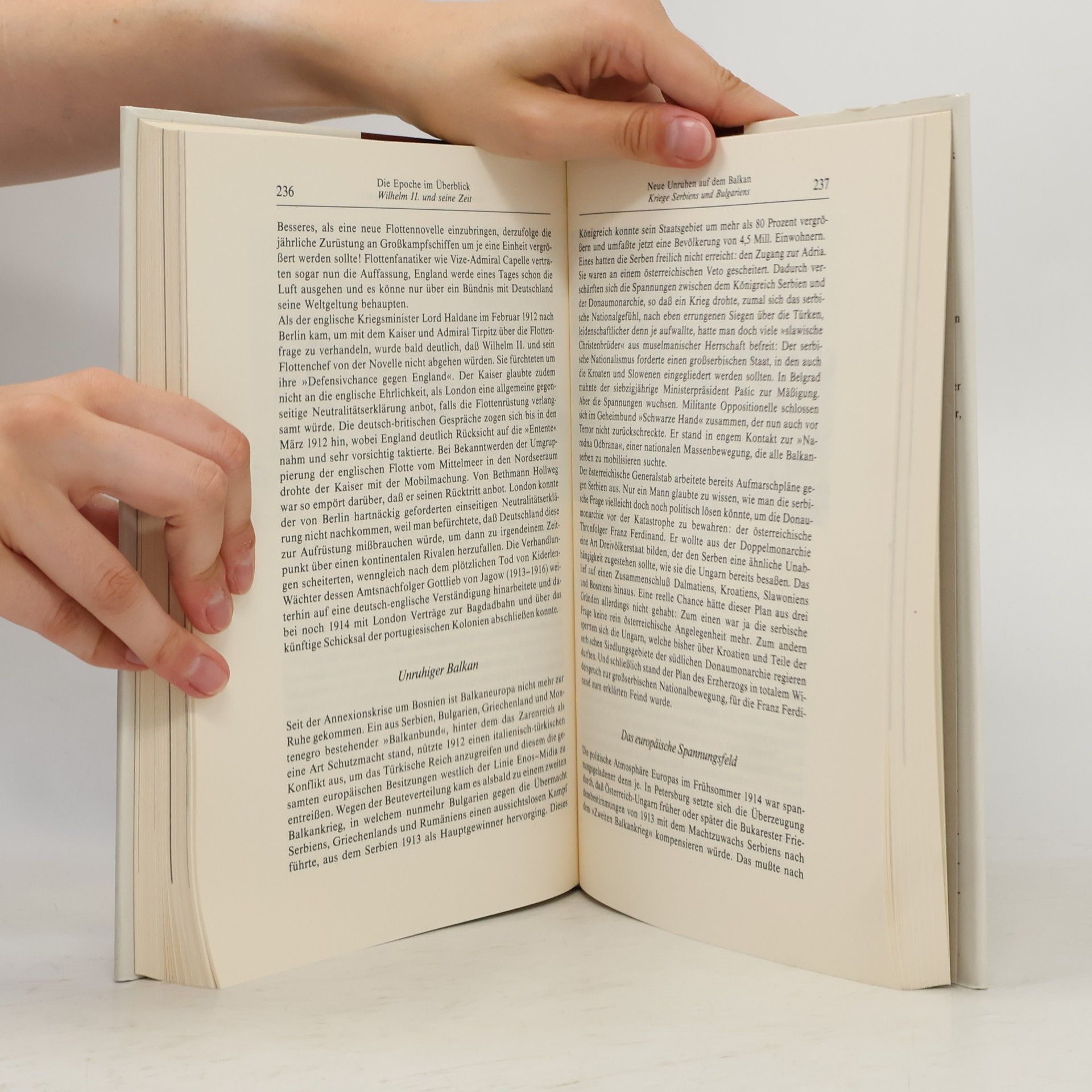 Heinrich Pleticha Deutsche Geschichte 10. Fürstenhöfe und Fabriken