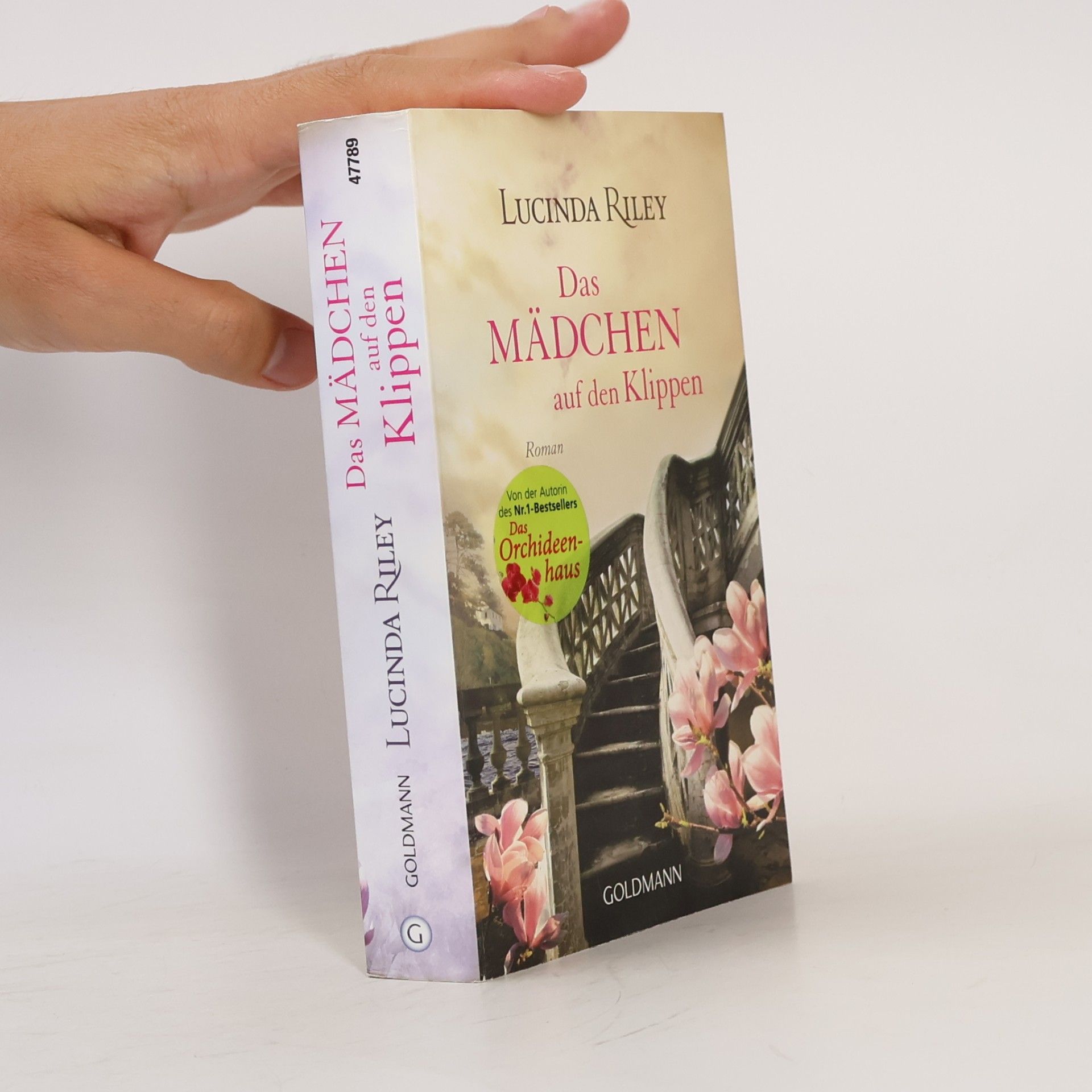 Das Mädchen auf den Klippen