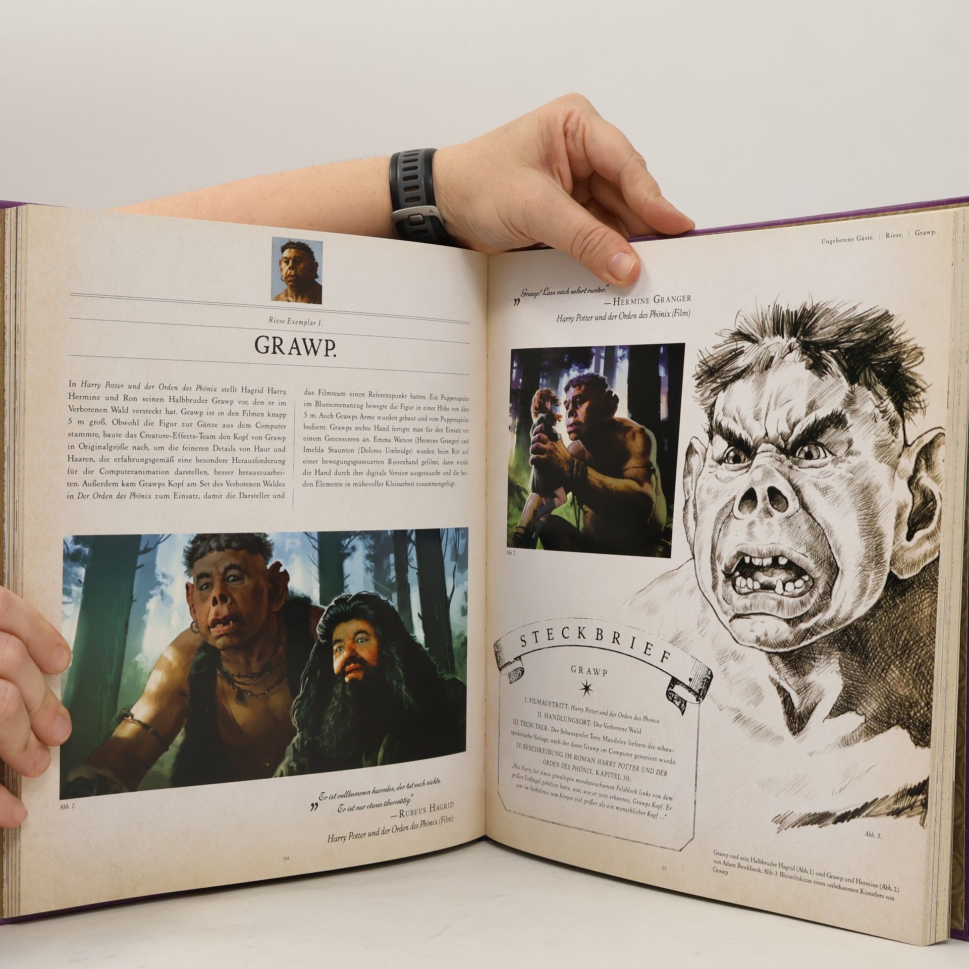 Jody Revenson Harry Potter - die Welt der magischen Wesen