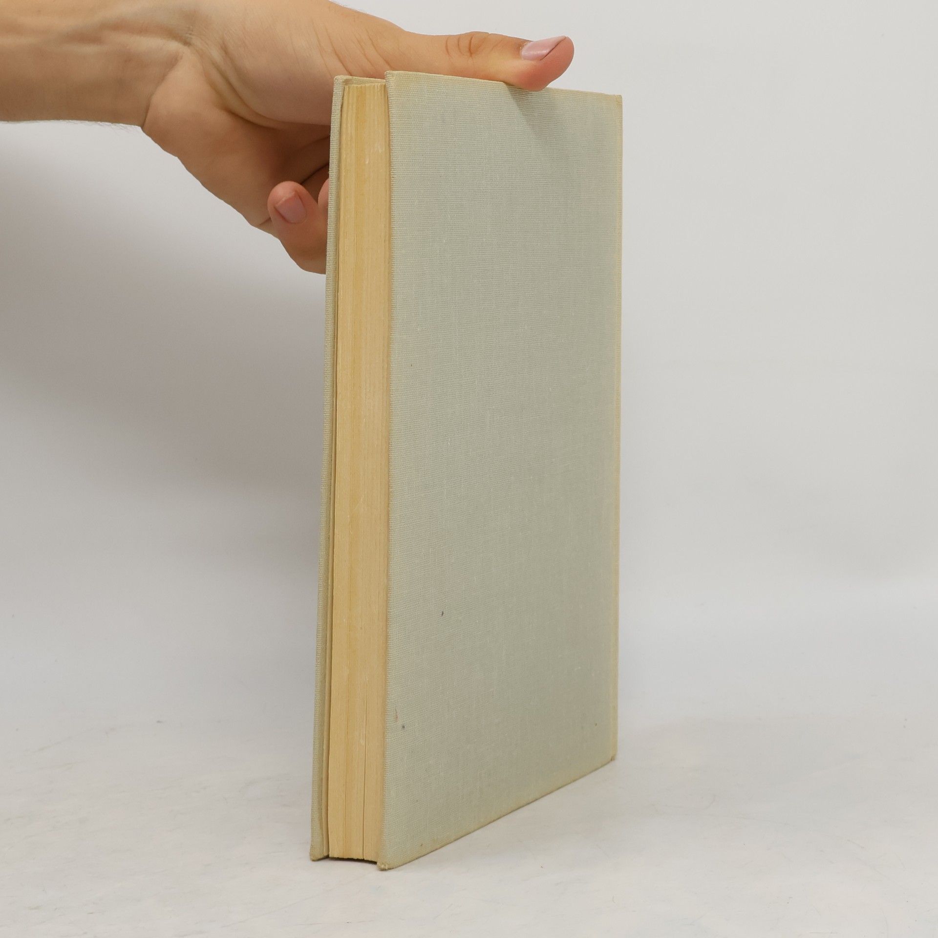 Paul Tillich Systematische Theologie II