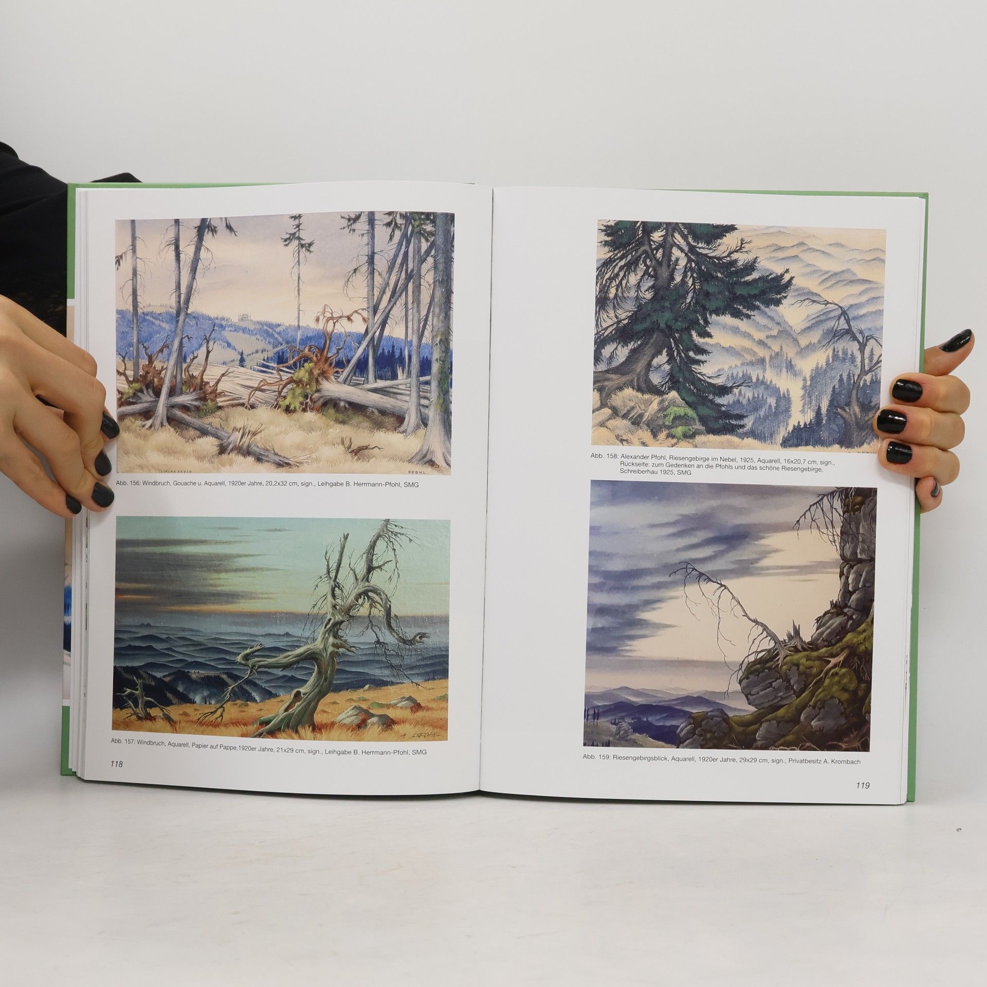 Alexander Pfohl Alexander Pfohl - Aquarelle, Zeichnungen, Pastelle: Landschaften, Blumen, Porträts