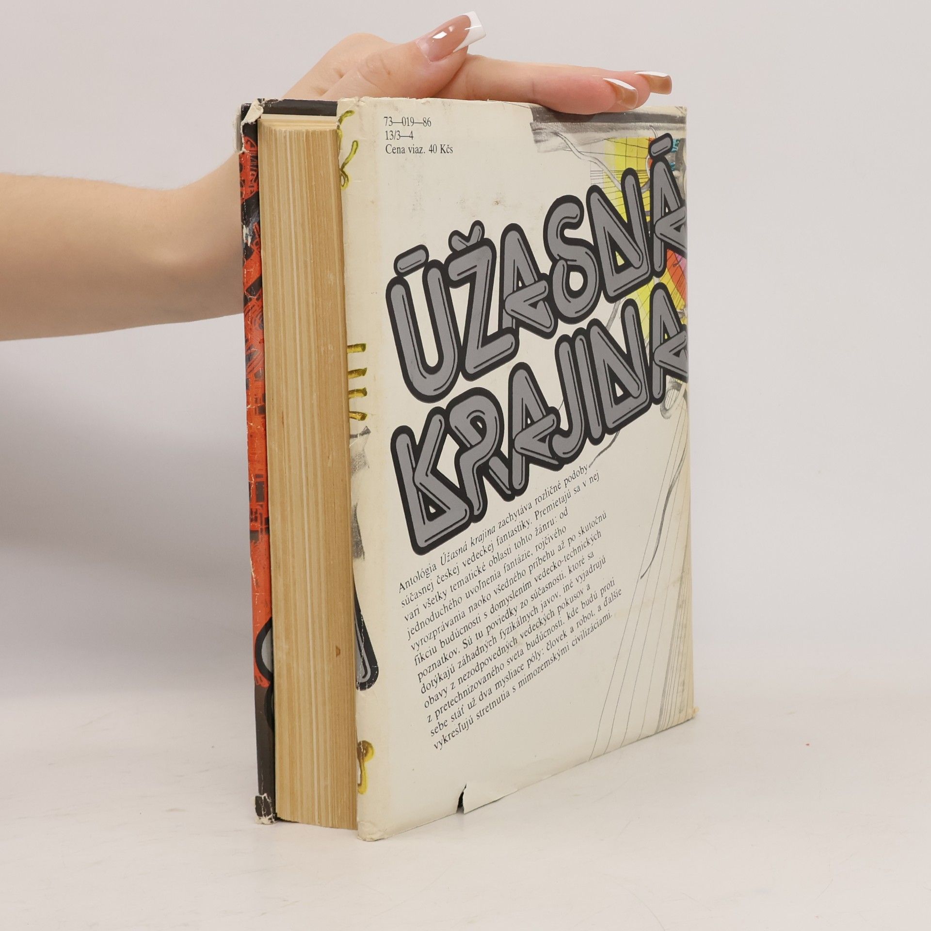 Autorenkollektiv Úžasná krajina