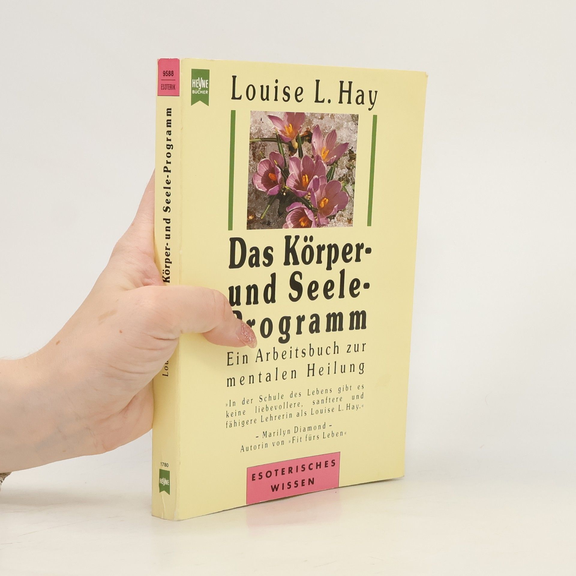Louise Lynn Hay Das Körper- und Seele-Programm