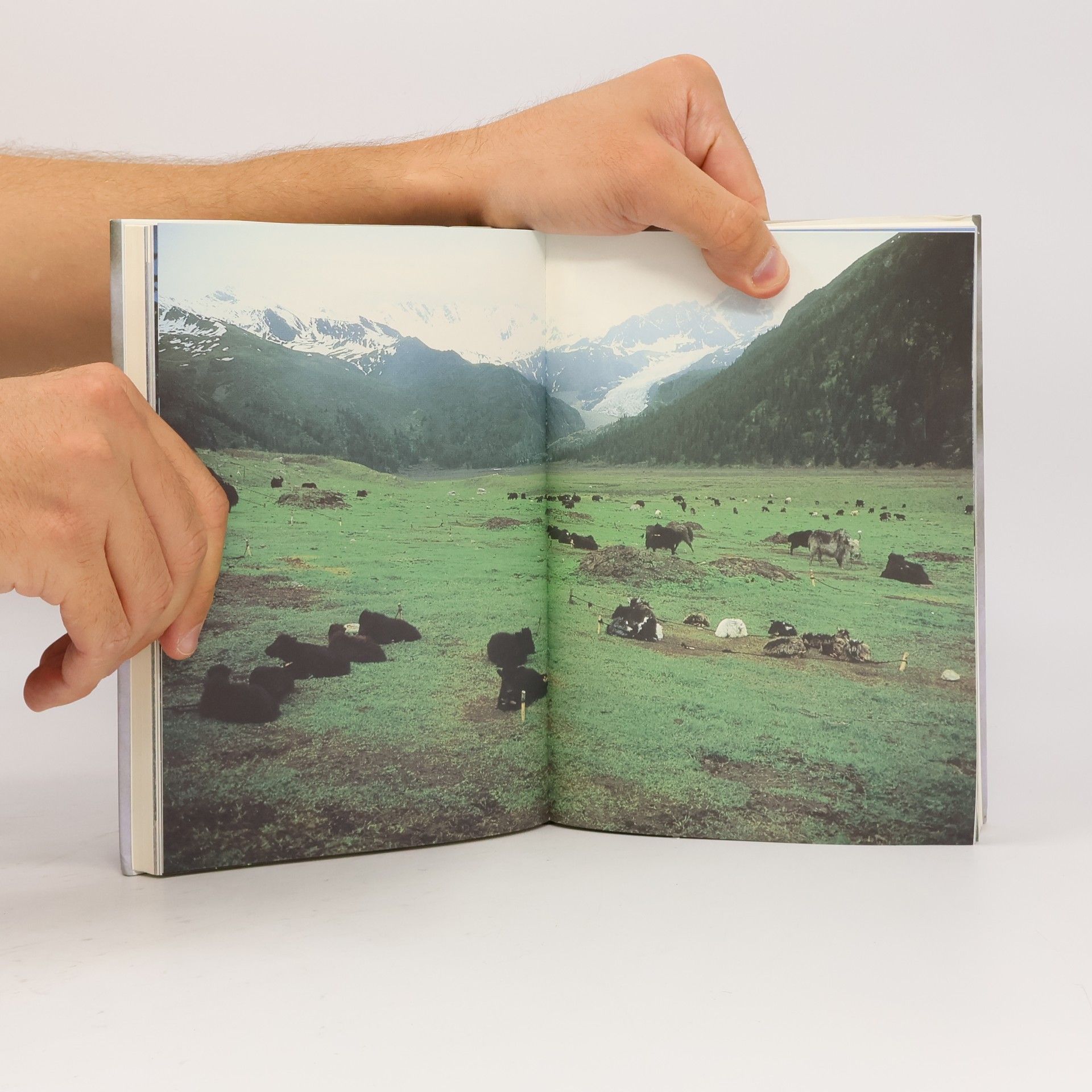Reinhold Messner Yeti