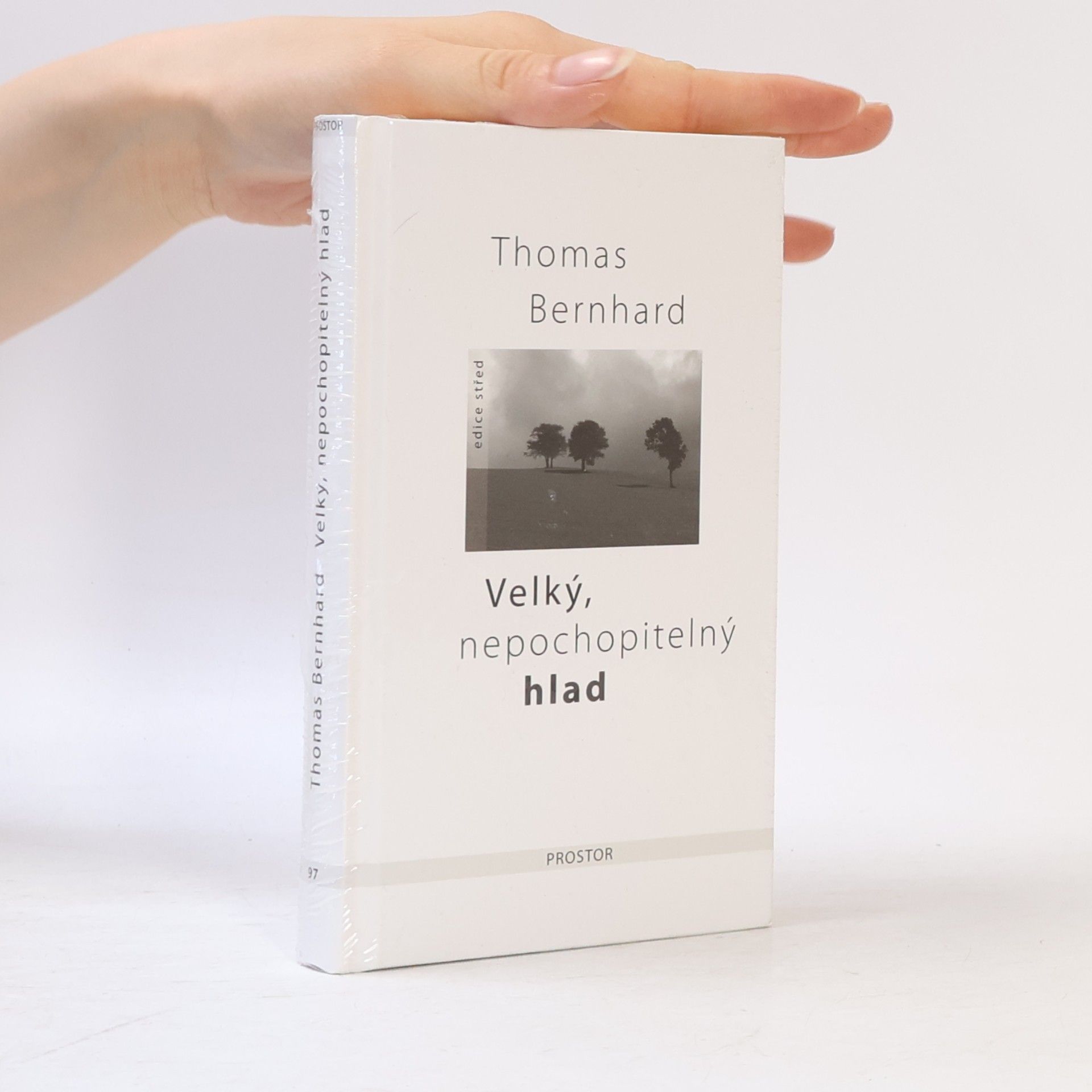 Thomas Bernhard Velký, nepochopitelný hlad