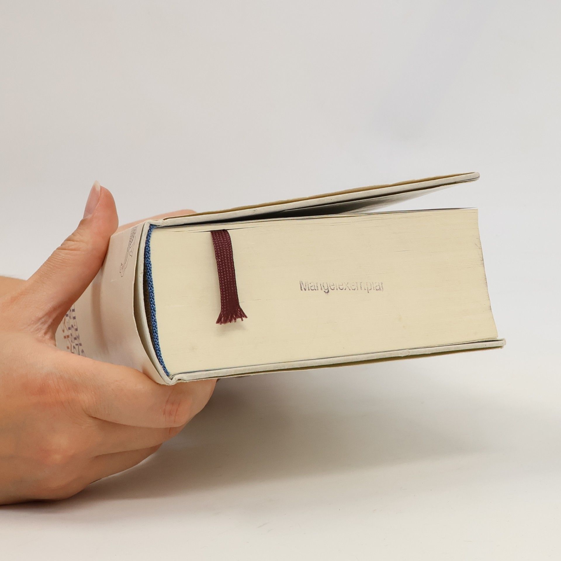 Thomas Mann Joseph und seine Brüder