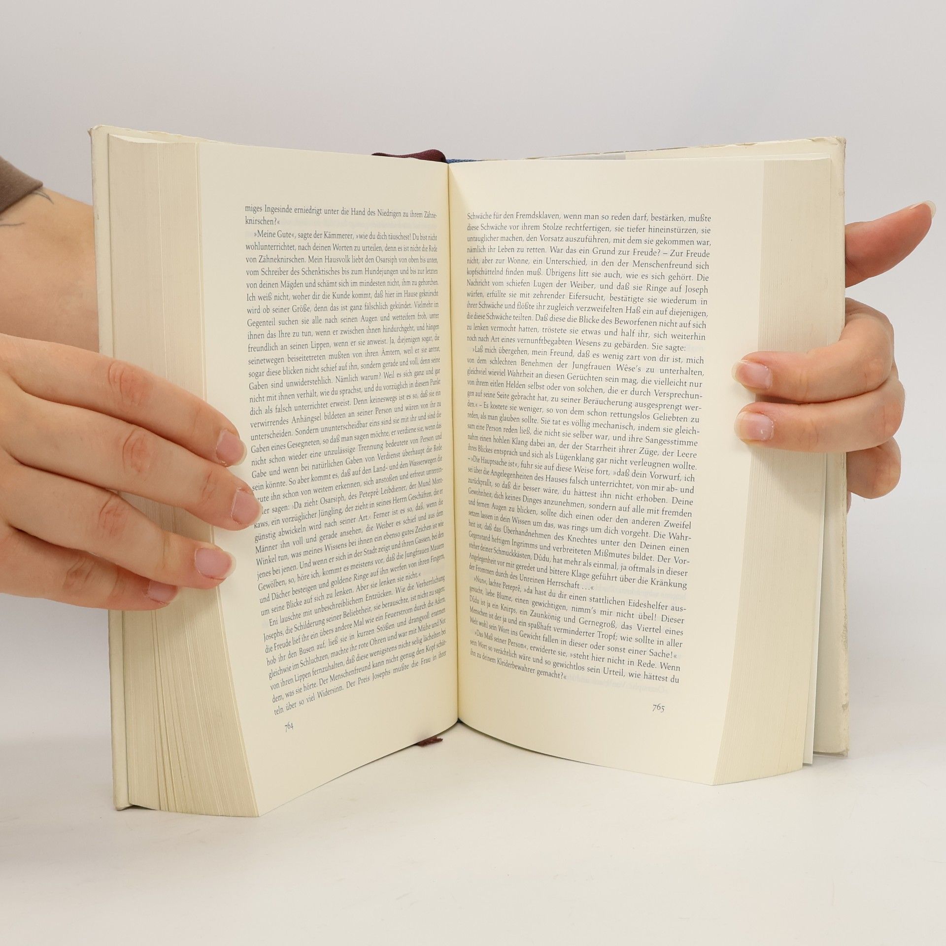 Thomas Mann Joseph und seine Brüder