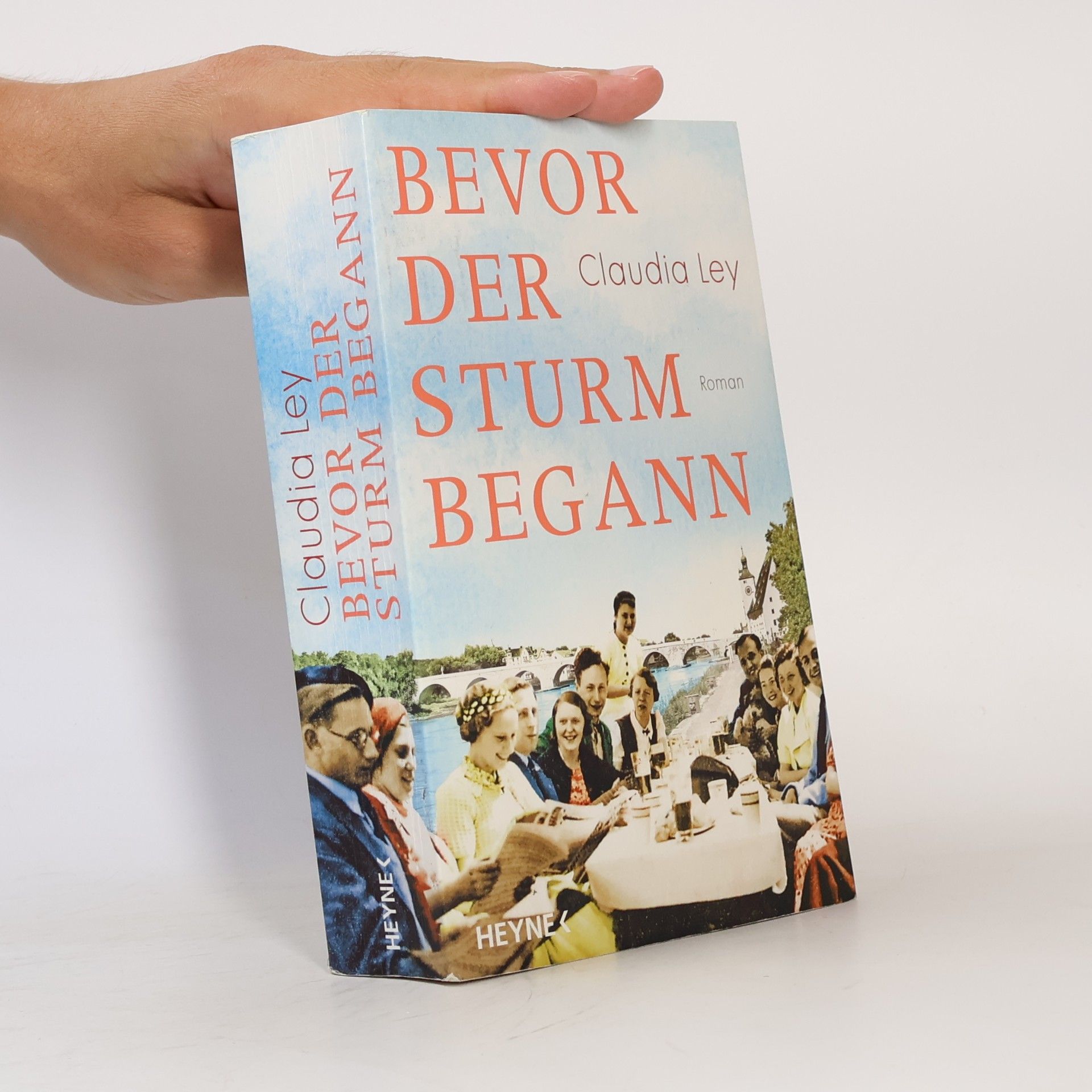 Claudia Ley Bevor der Sturm begann